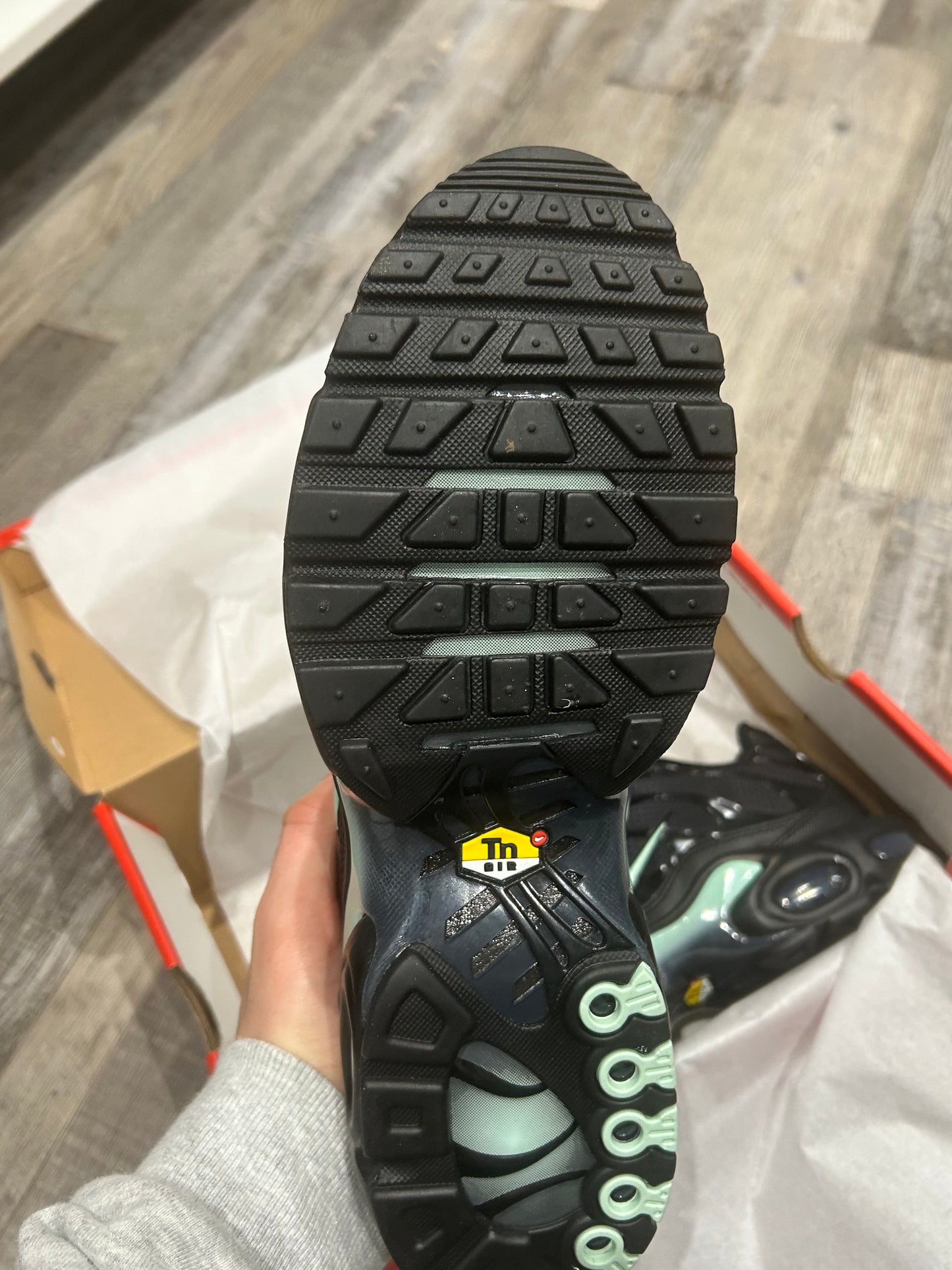 Nike air max plus Tn “Mint/tiffany”