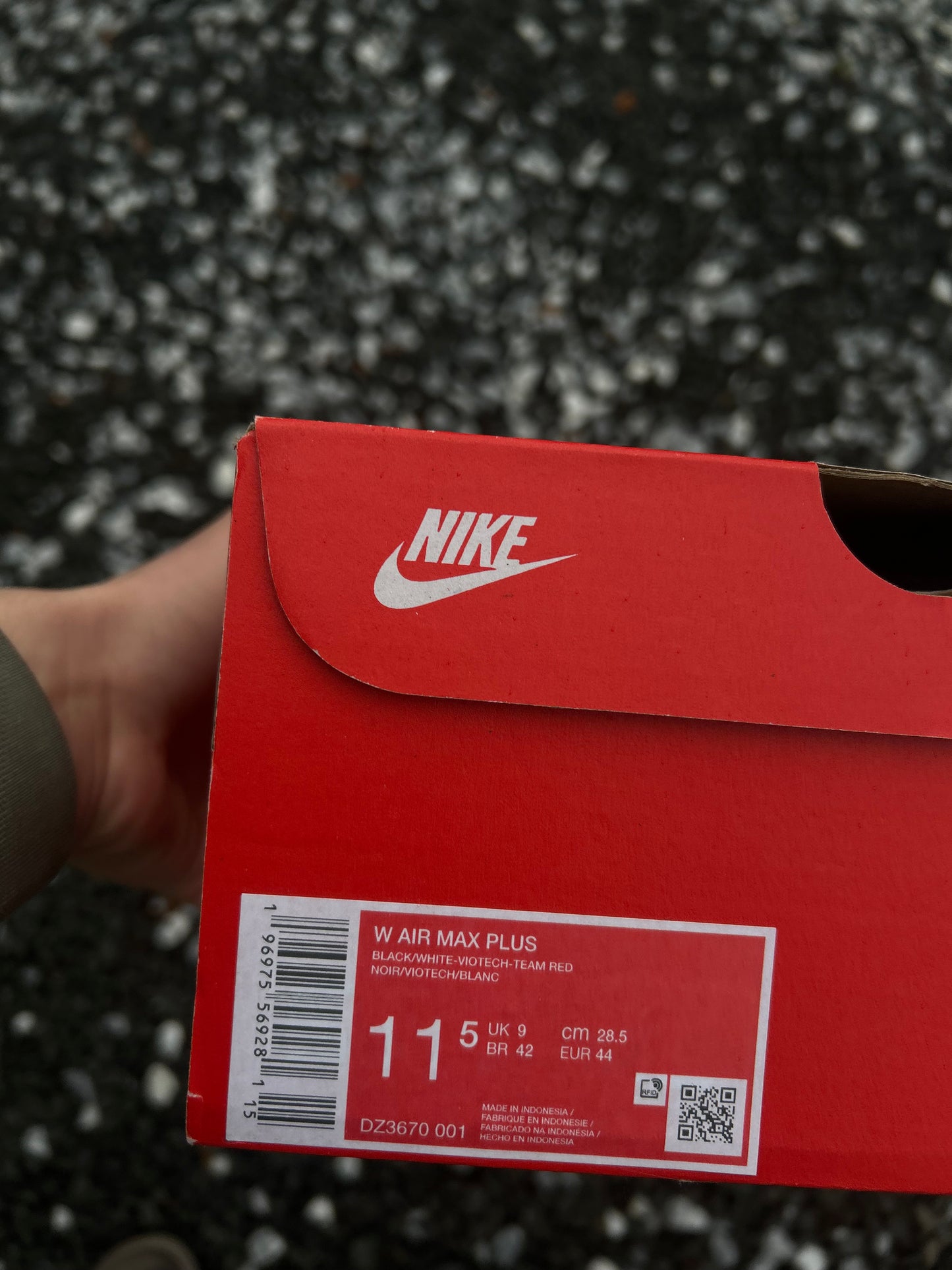 Nike air max plus Tn “Rainbows”