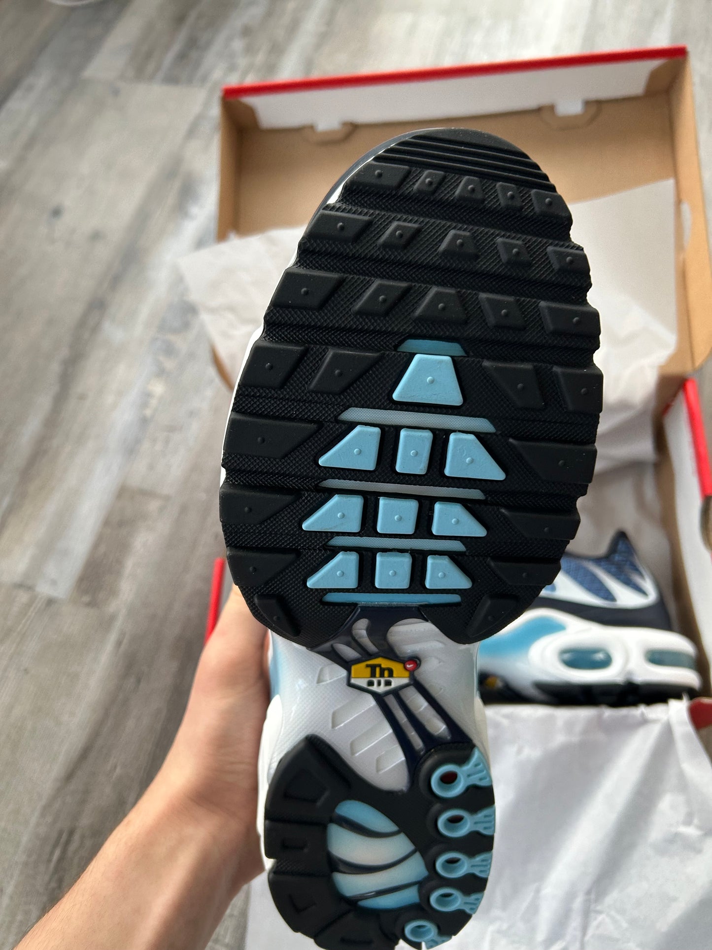 Nike air max plus Tn “Obsidian grids”