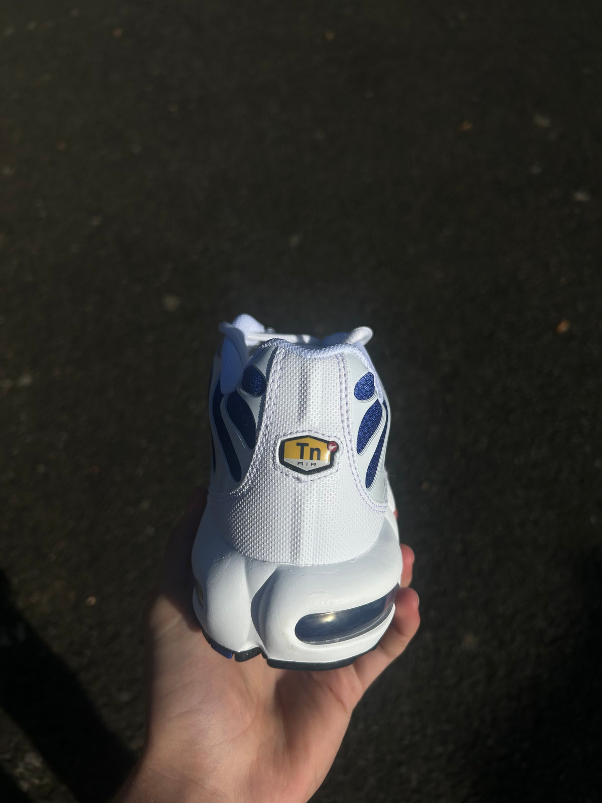 Nike Air Max Plus Tn “Grapes”