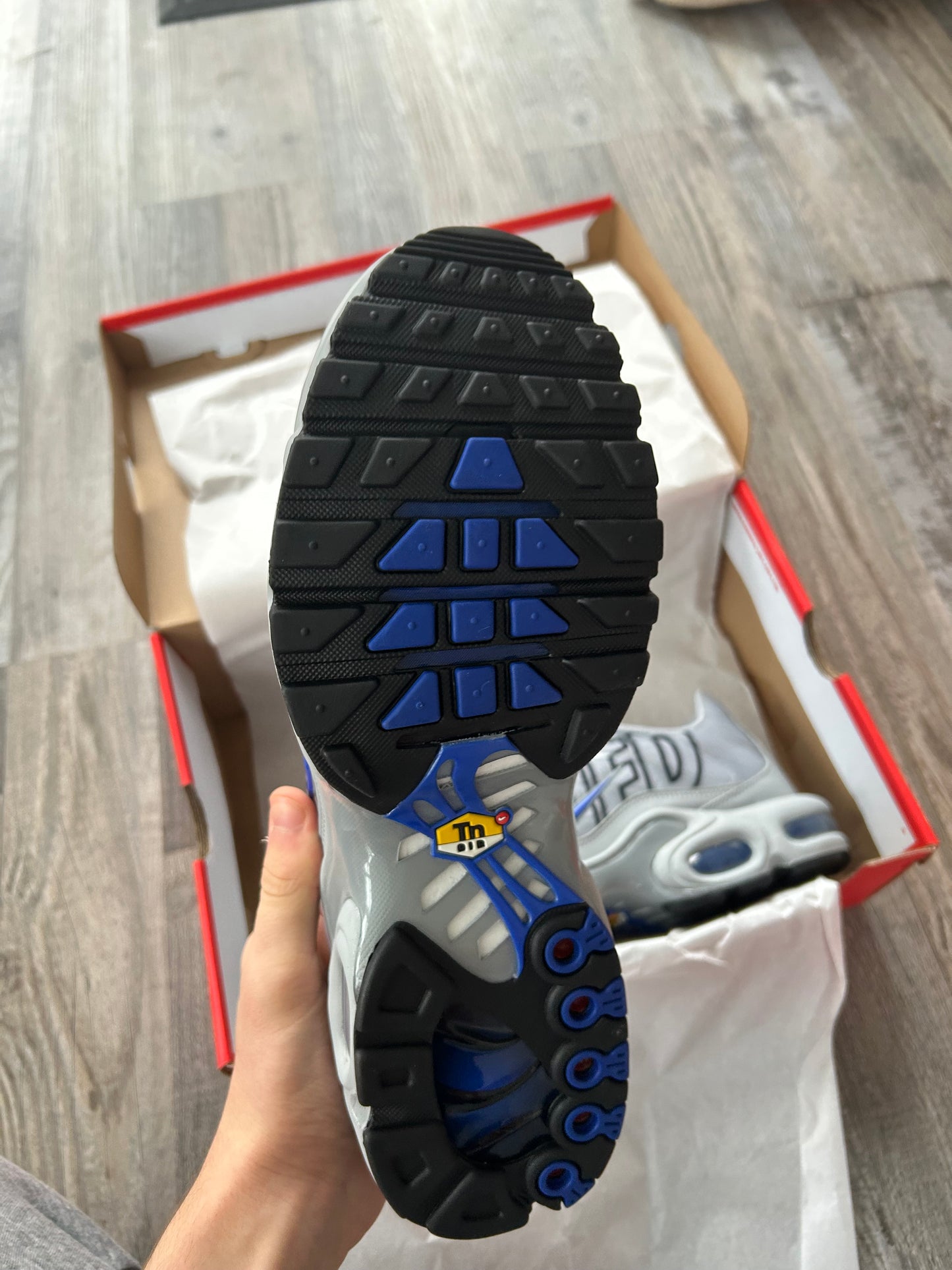 Nike air max plus TN “Wolf grey/blue”