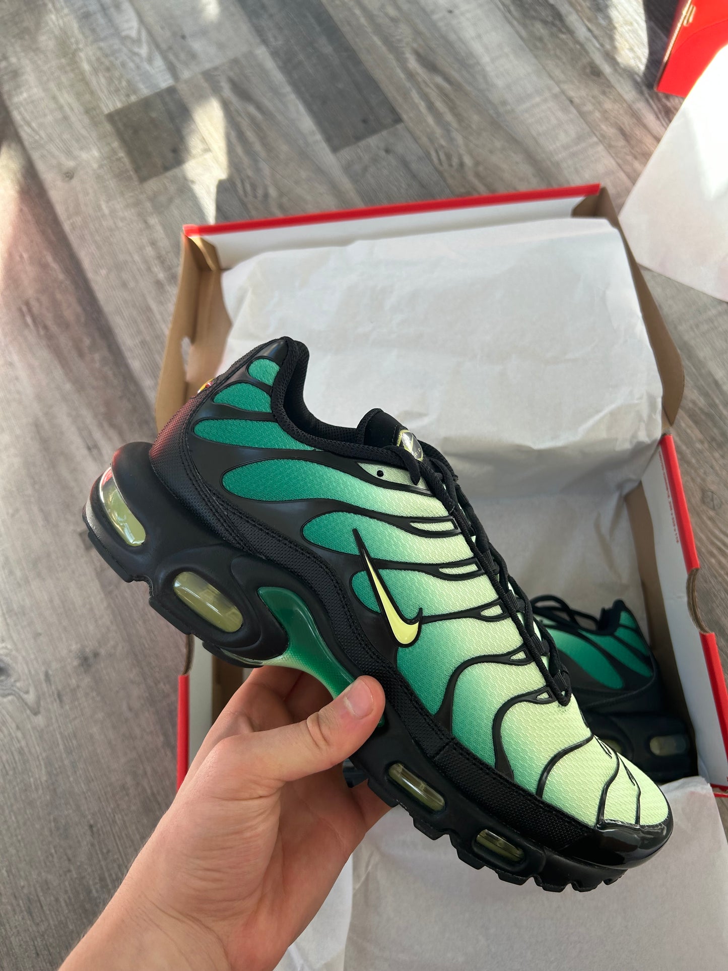 Nike air max plus Vapour green