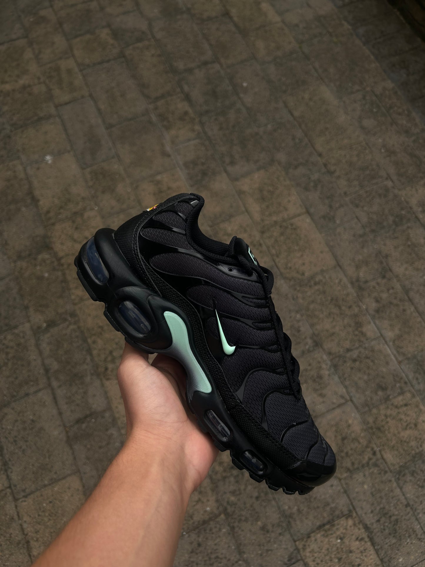 Nike air max plus “Reverse Tiffany’s”
