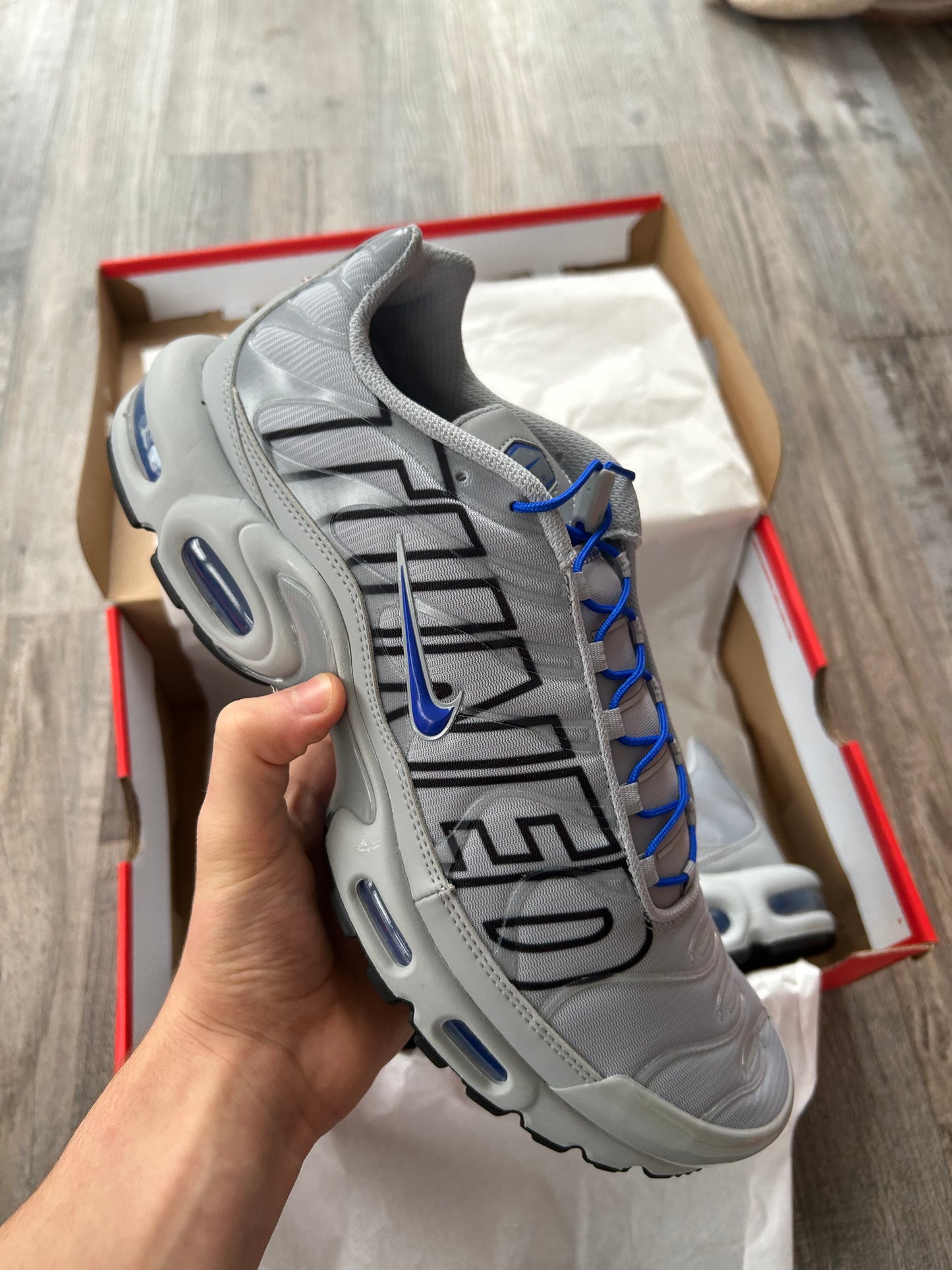 Nike air max plus TN “Wolf grey/blue”