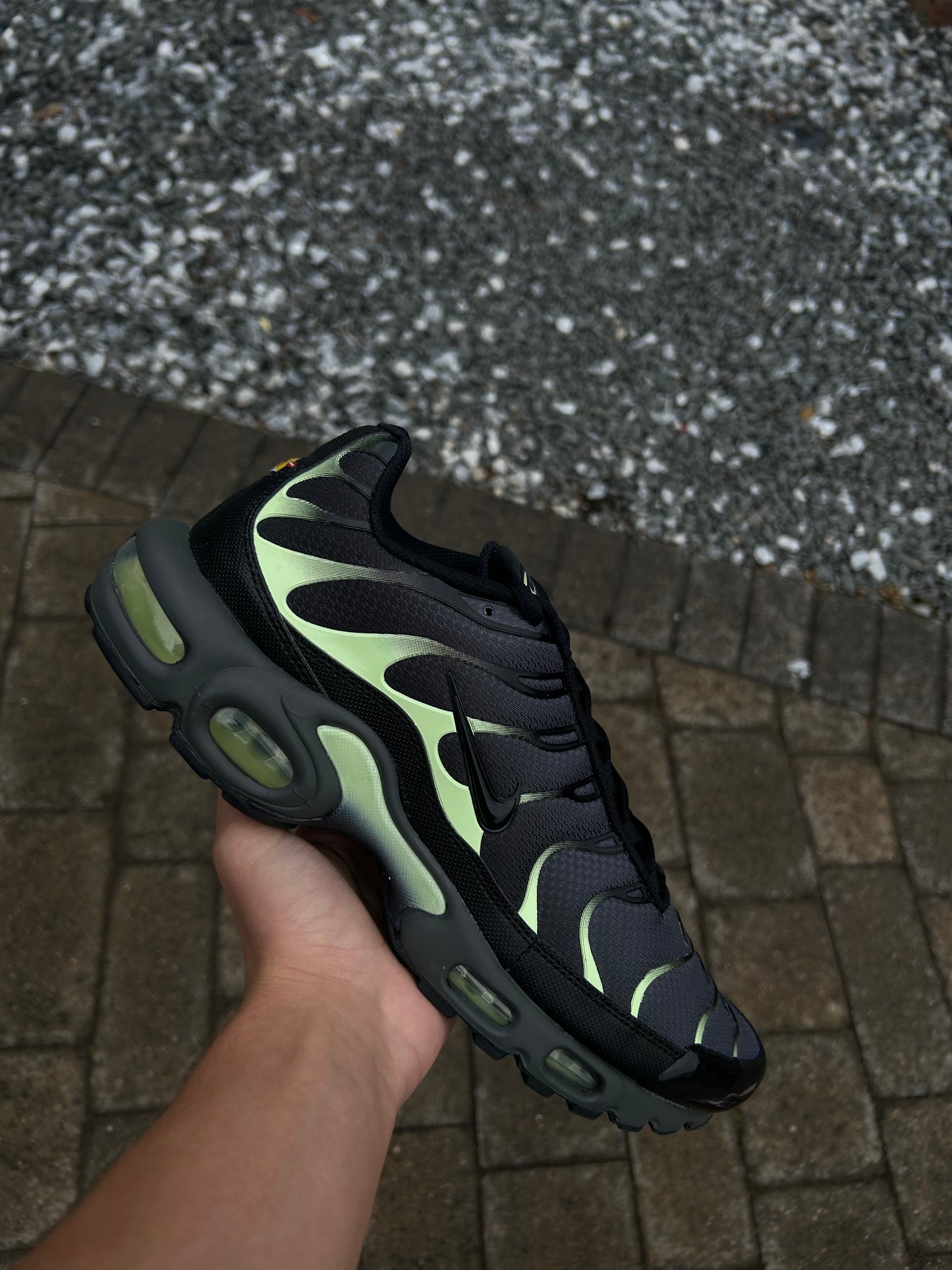 Nike air max plus Tn “Vapour greens”