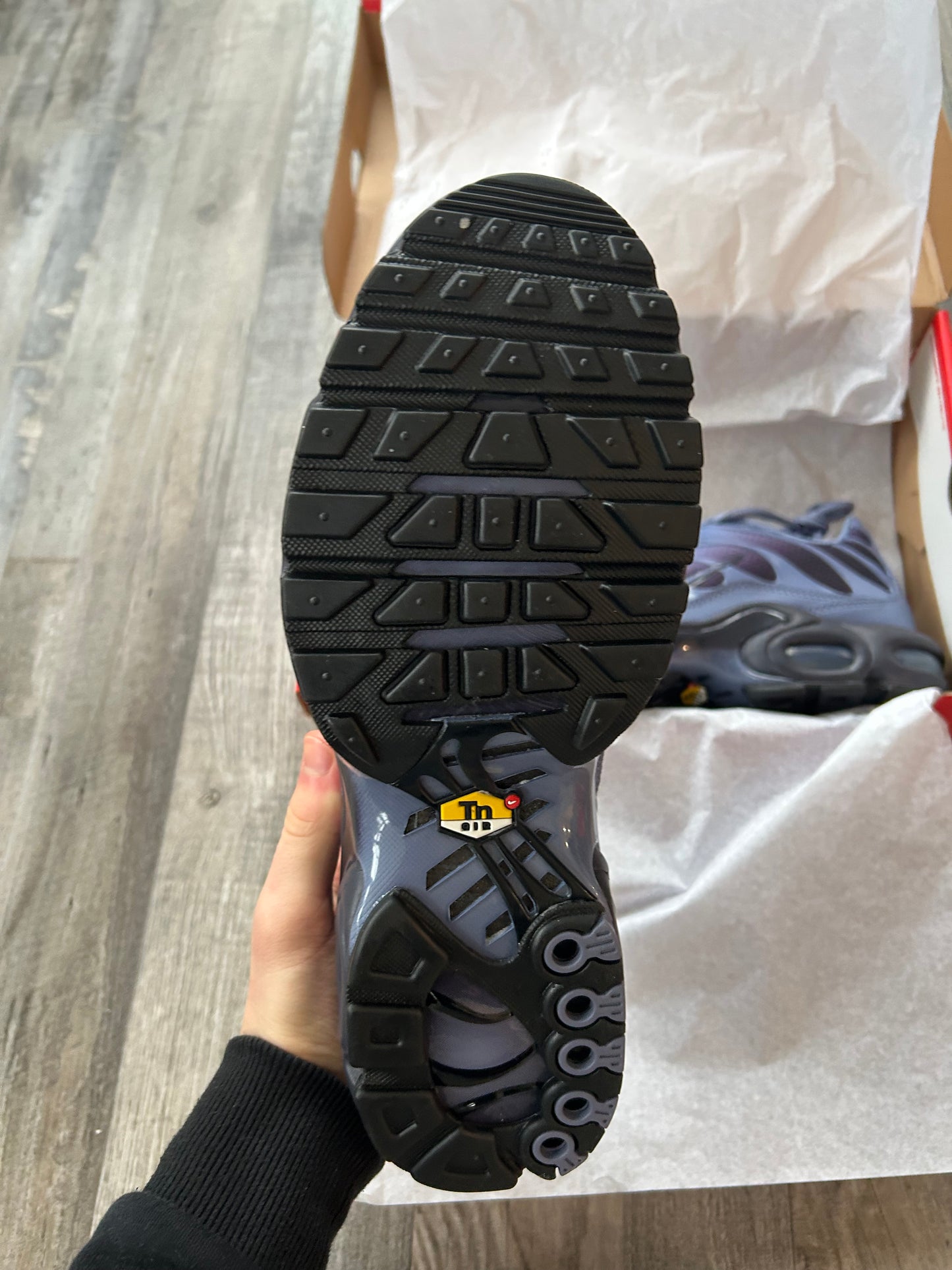 Nike air max plus TN “Indigo blues”