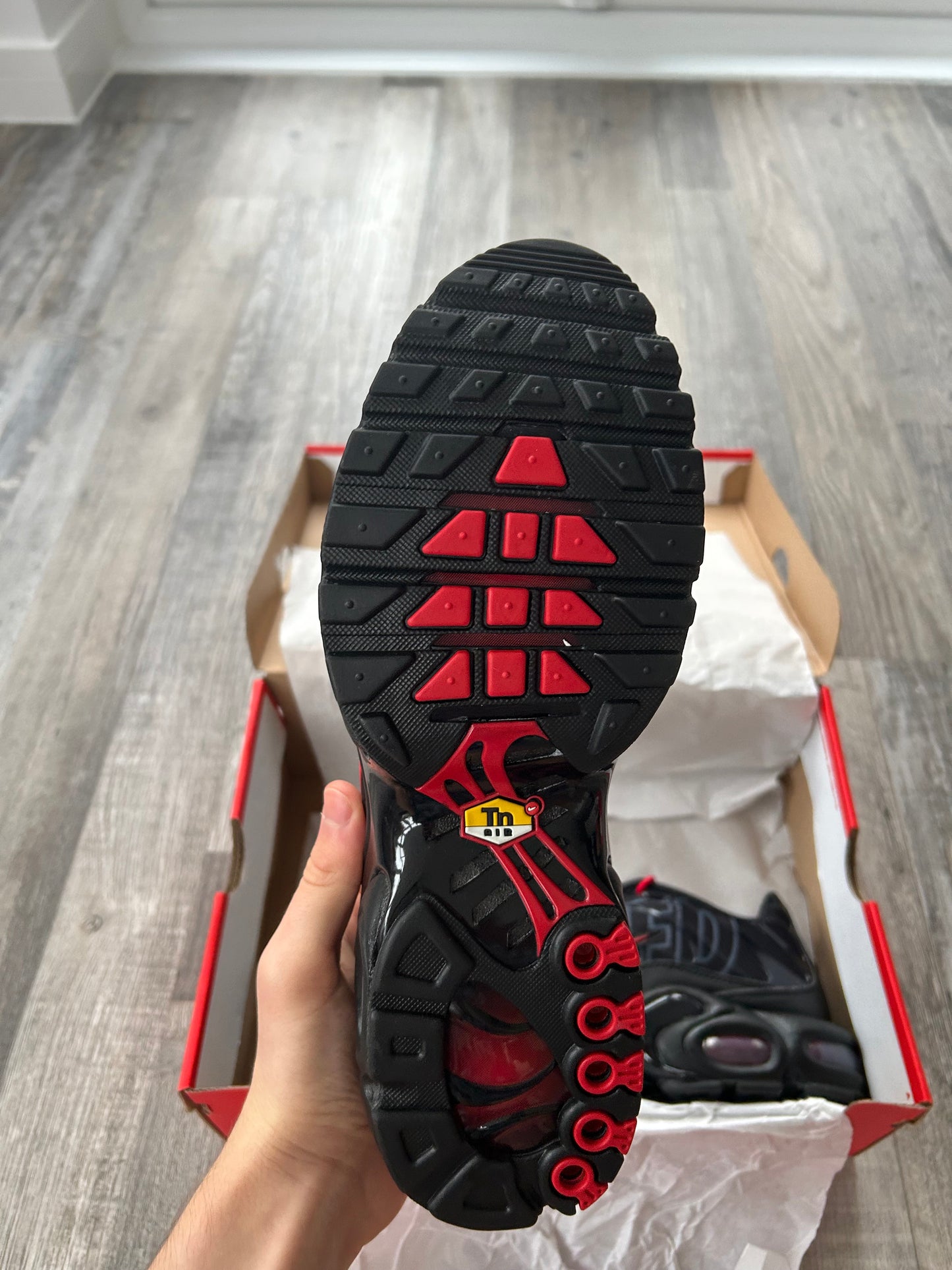 Nike air max plus Tn dragon red/black