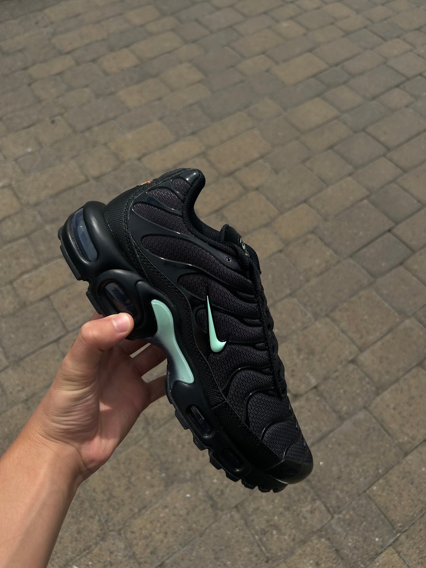 Nike air max plus Tn “Reverse Tiffany’s”