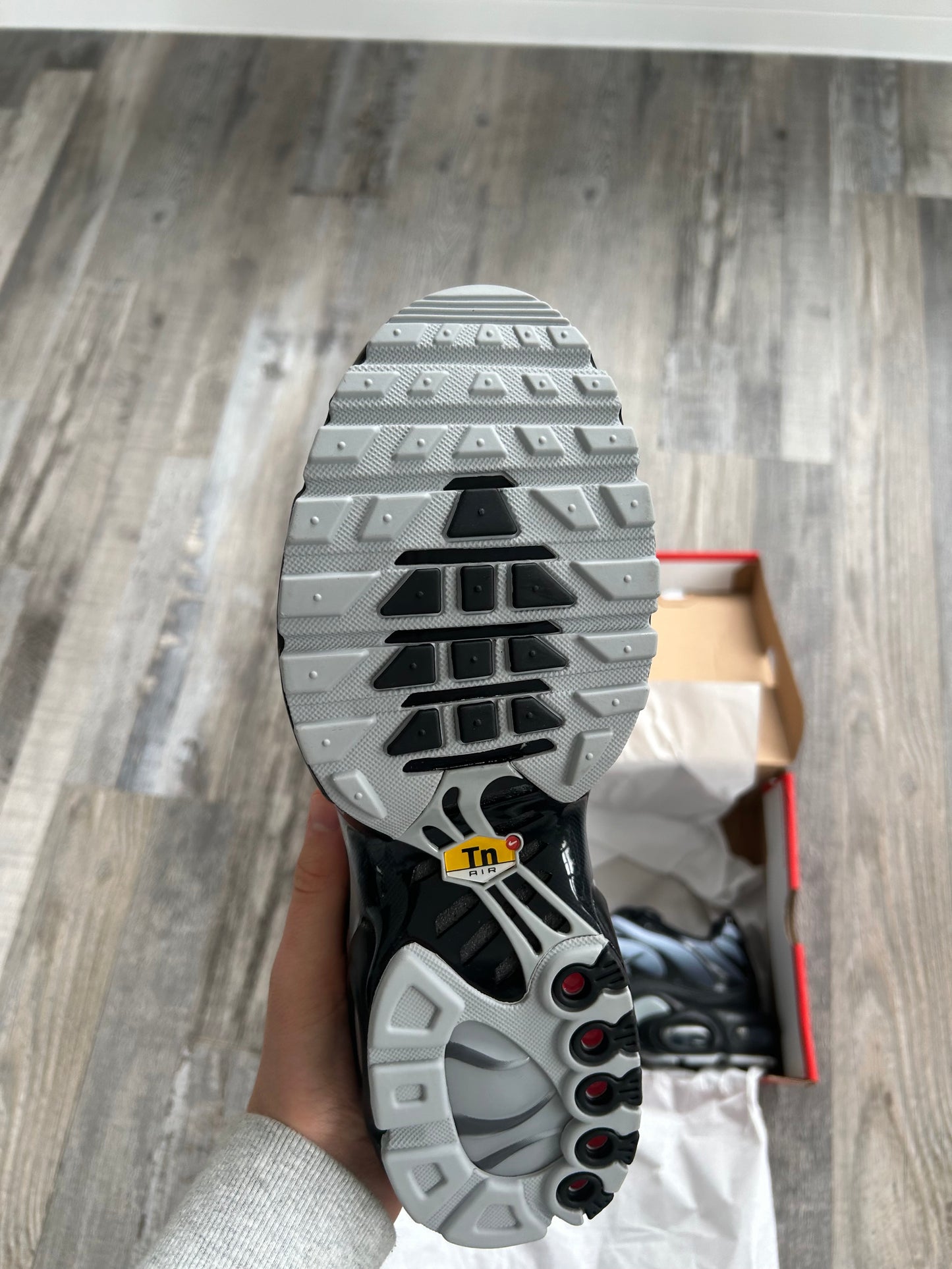 Nike air max plus “Wolf grey”
