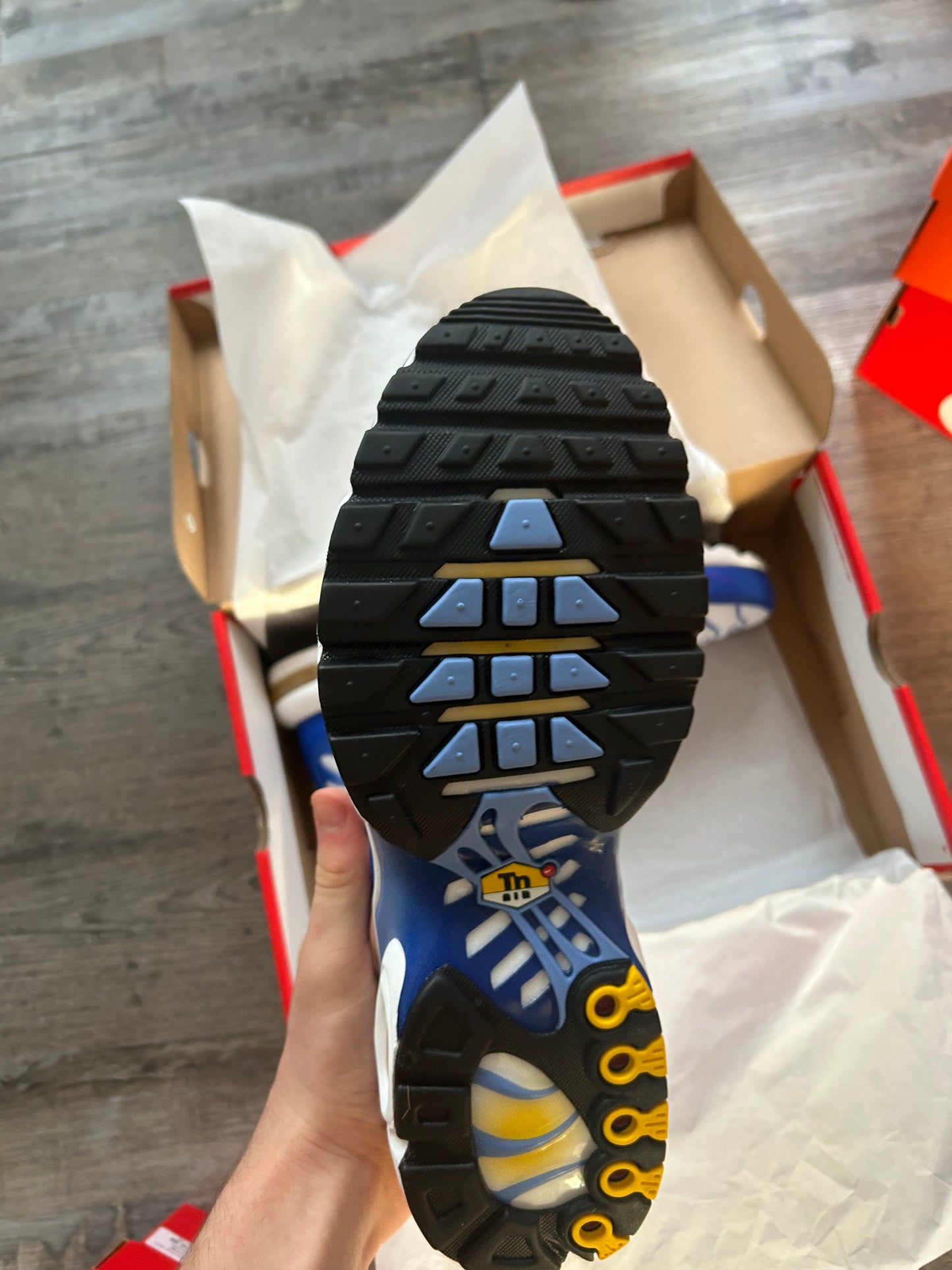 Nike air max plus Tn “Polar blues”