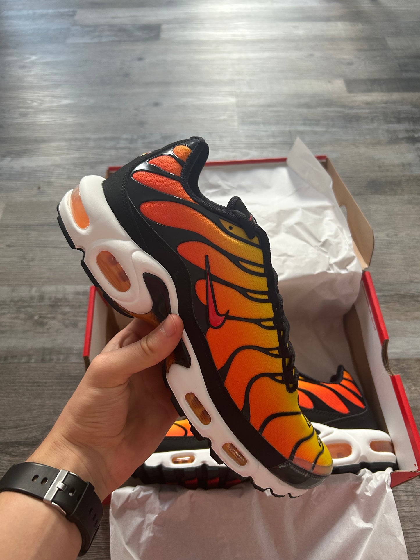 Nike air max plus TN “Sunset Orange”
