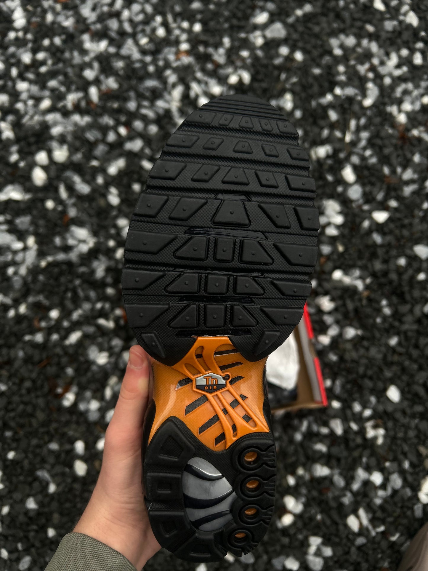 Nike air max plus Tn “Dark Monarch”