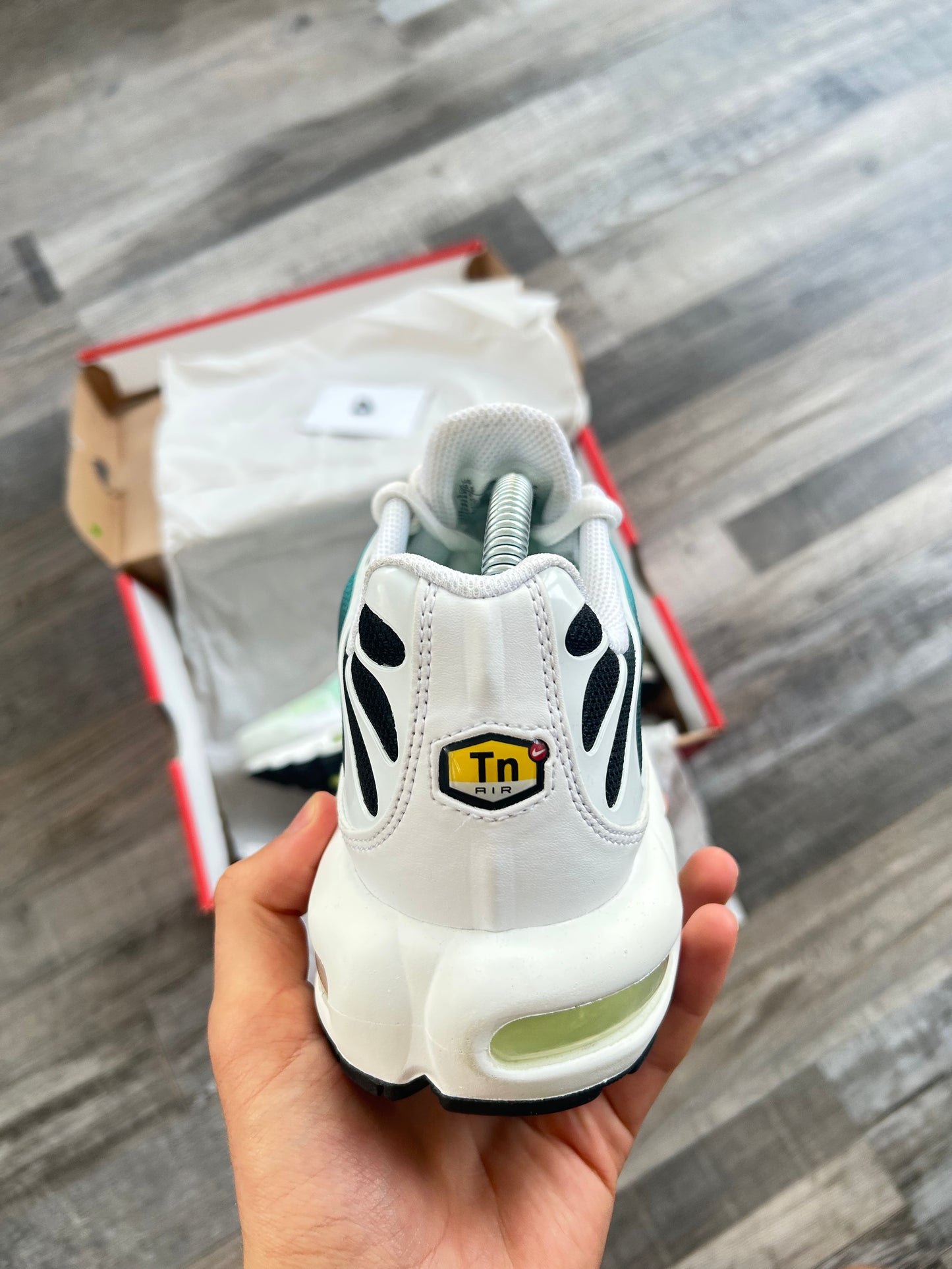 Nike Air max plus TN “Dusty cactus/barely Volt”