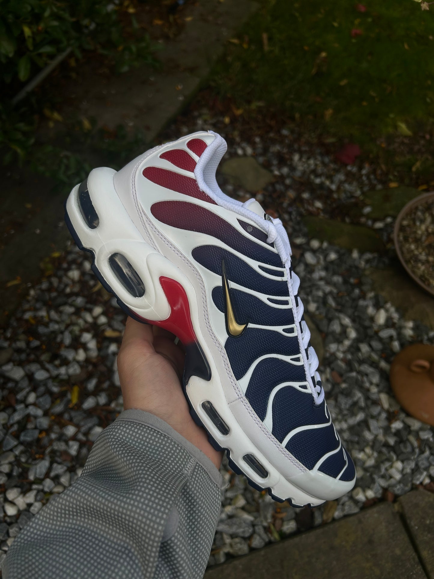 Nike air max plus Tn “PSG”