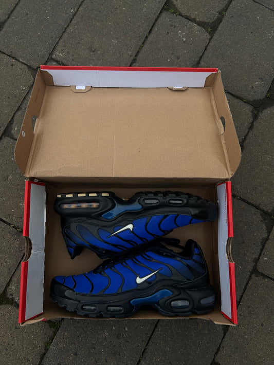 Nike air max plus Tn “Racer blue