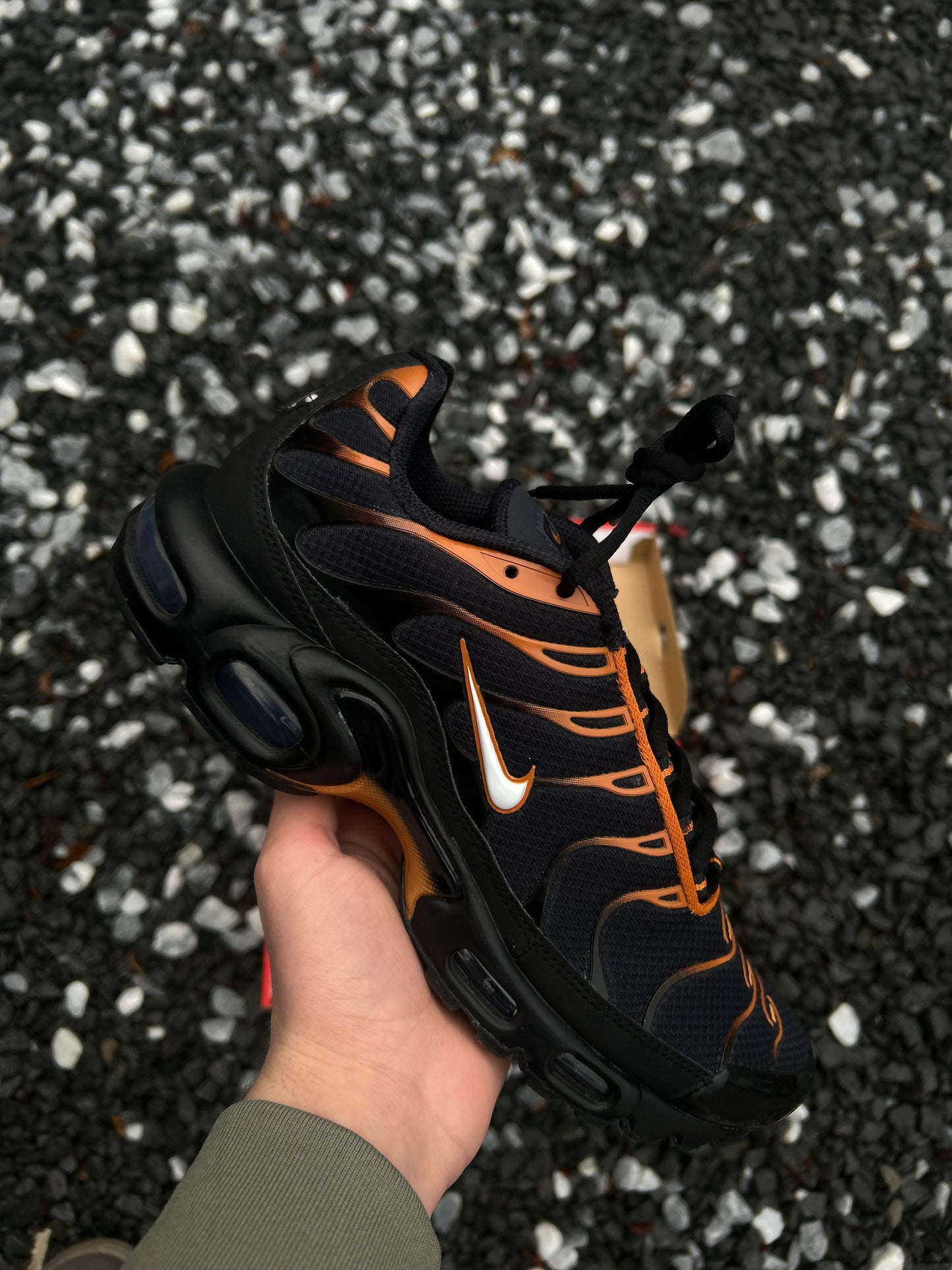 Nike air max plus Tn “Dark Monarch”