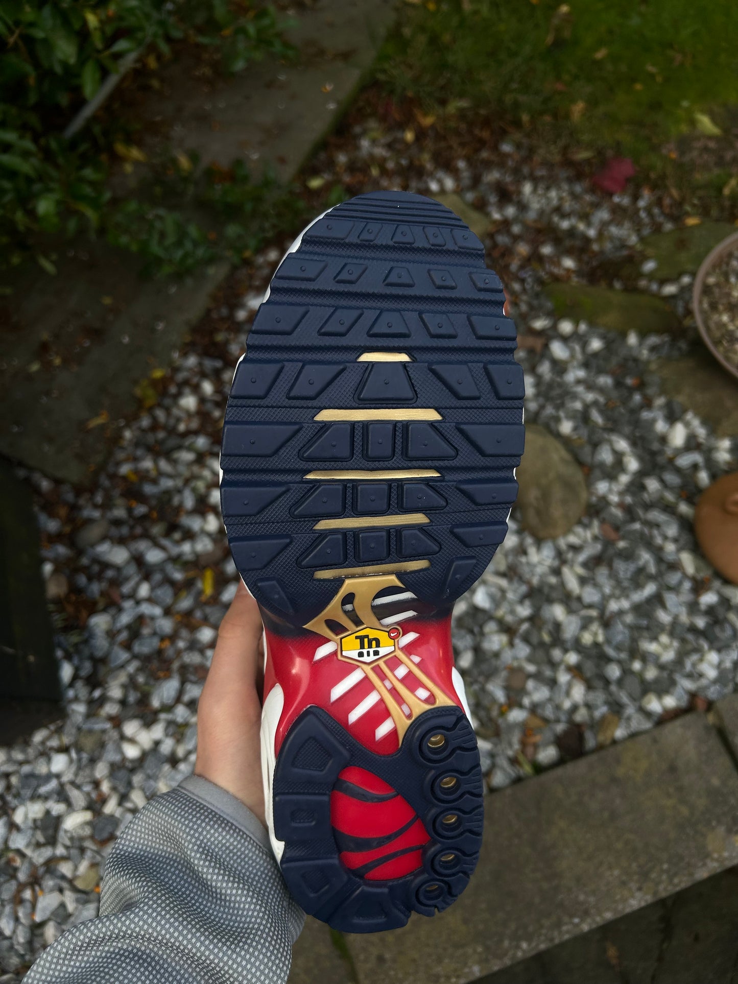 Nike air max plus Tn “PSG”