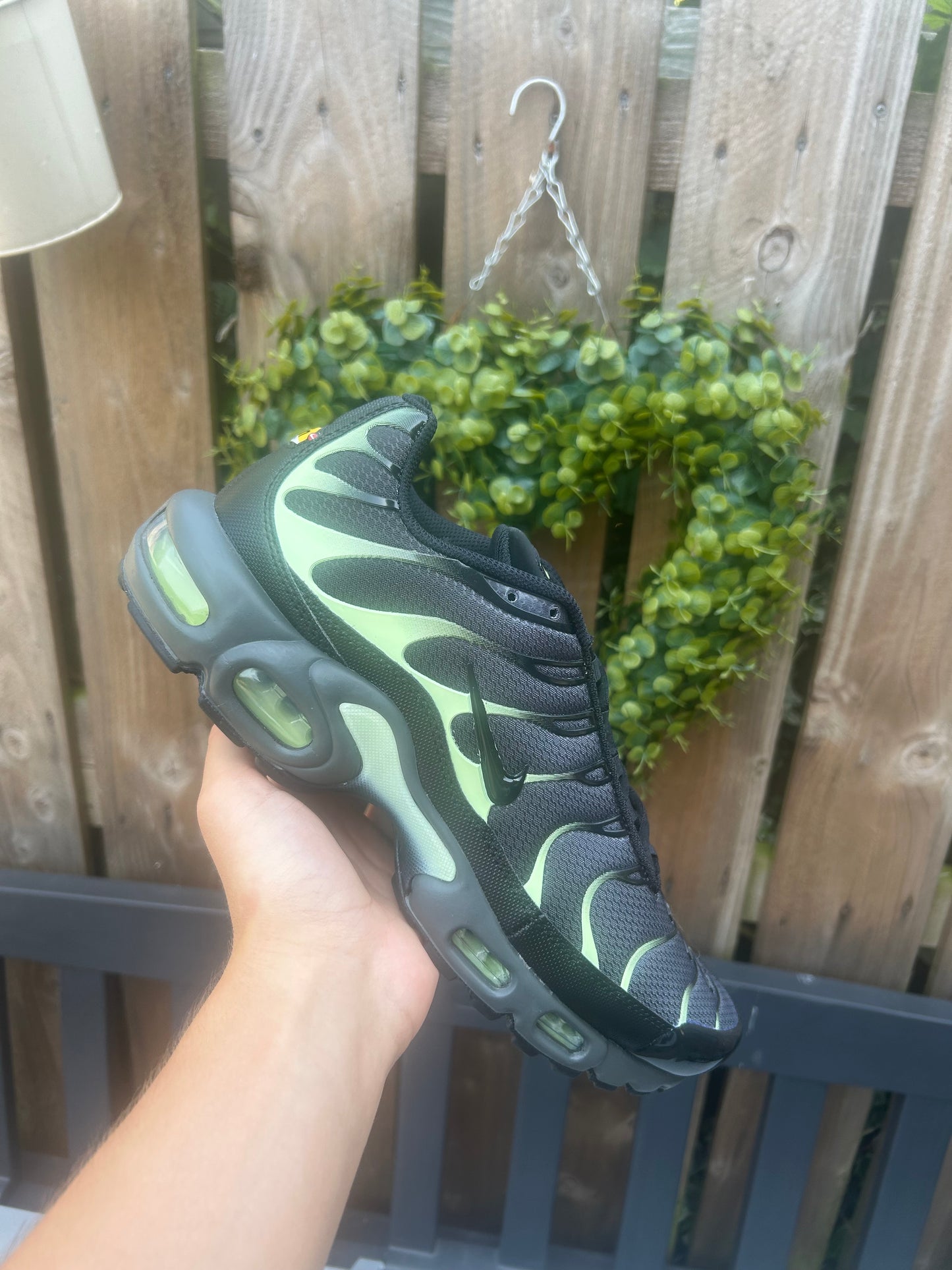 Nike air max plus Tn “Vapour greens”