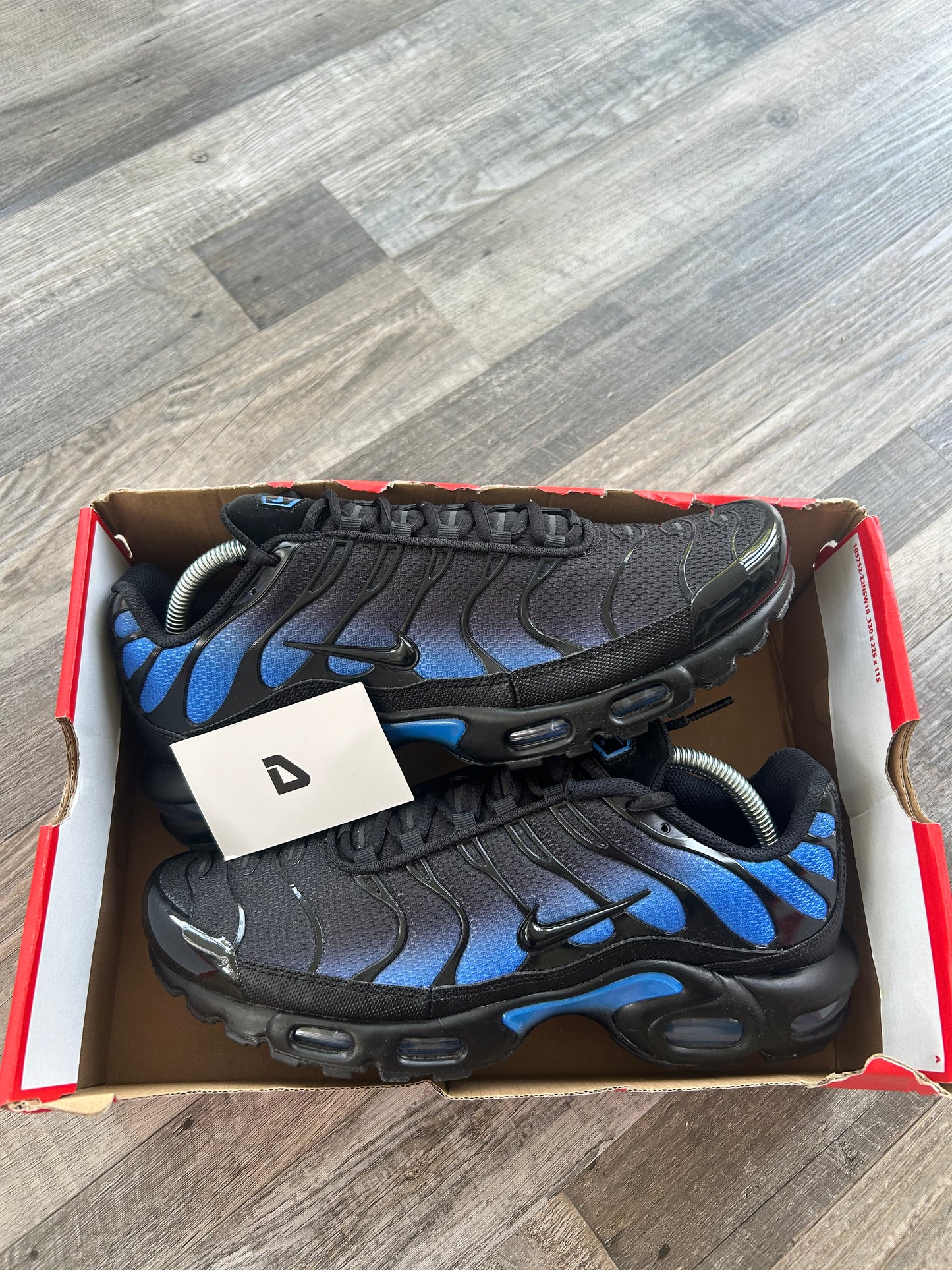 Nike air max plus Tn “Crystal Blue”