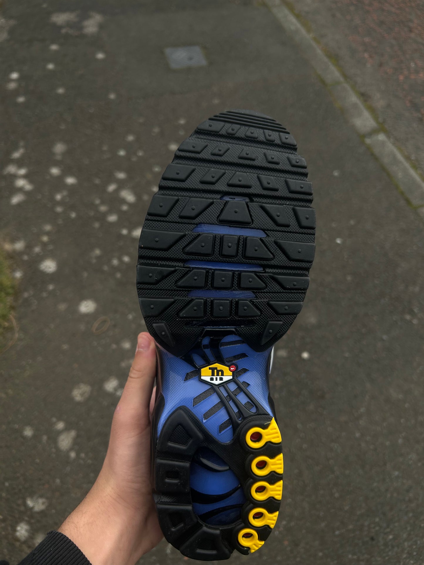 Nike air max plus Tn “Sapphire blue/white”