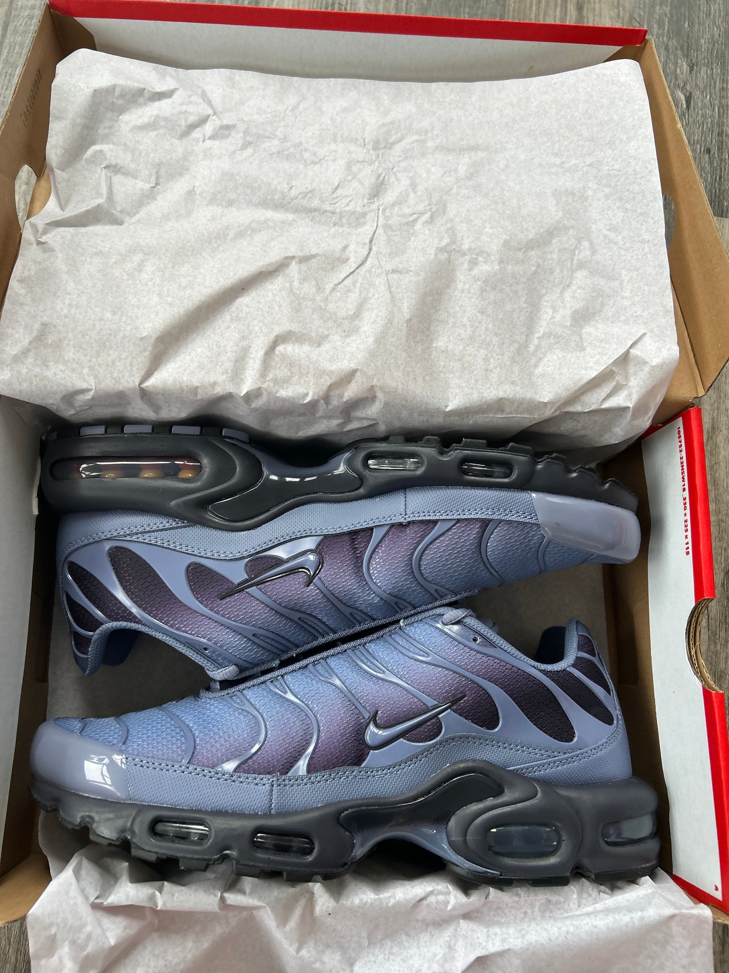Nike air max plus Tn “Indigo worlds”