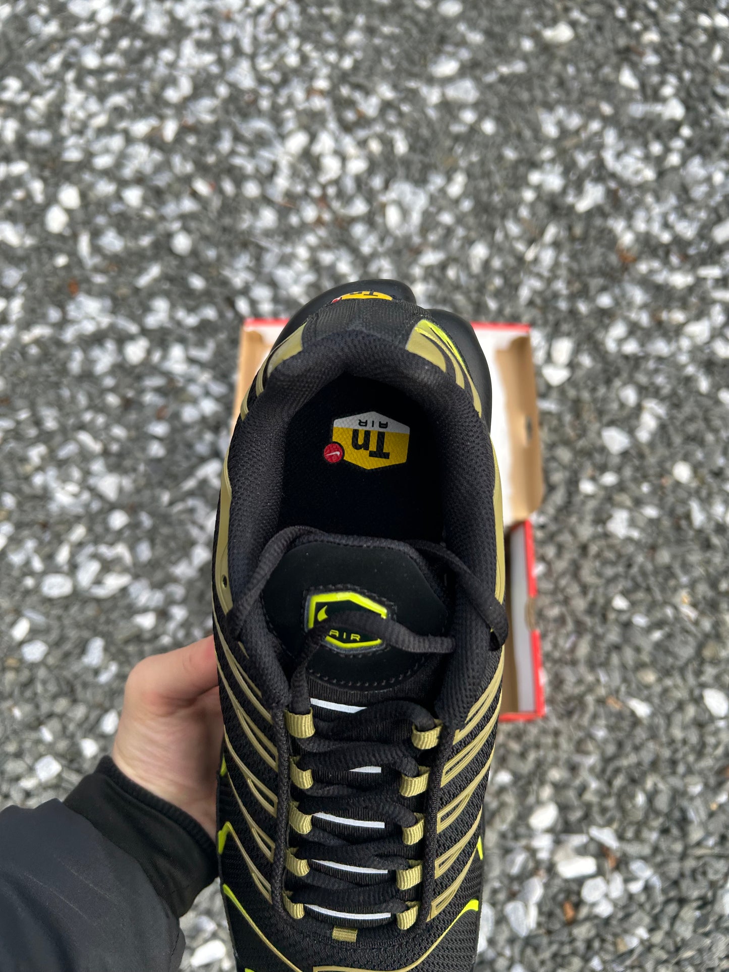 Nike air max plus Tn “Cyber greens”