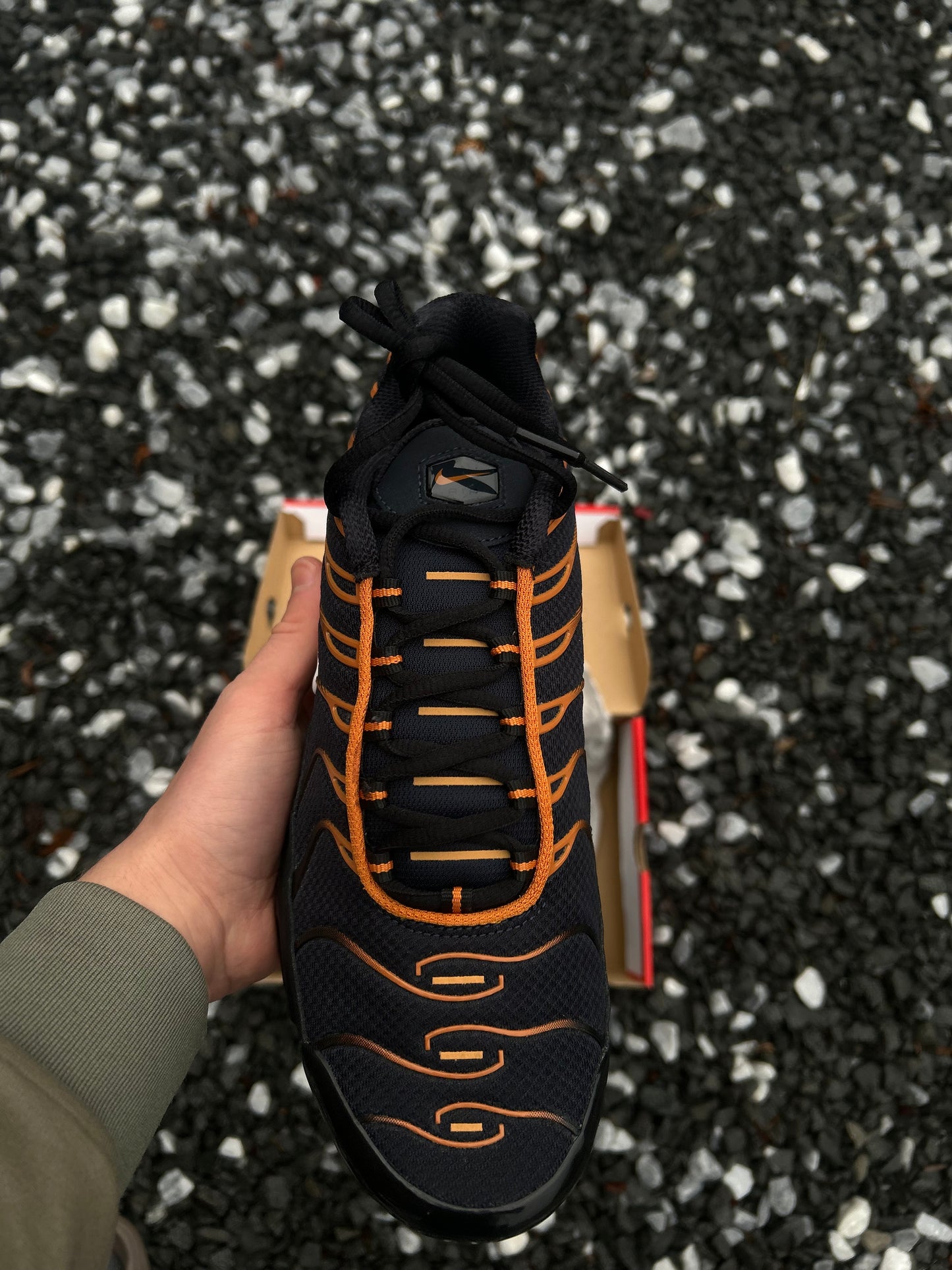 Nike air max plus Tn “Dark Monarch”