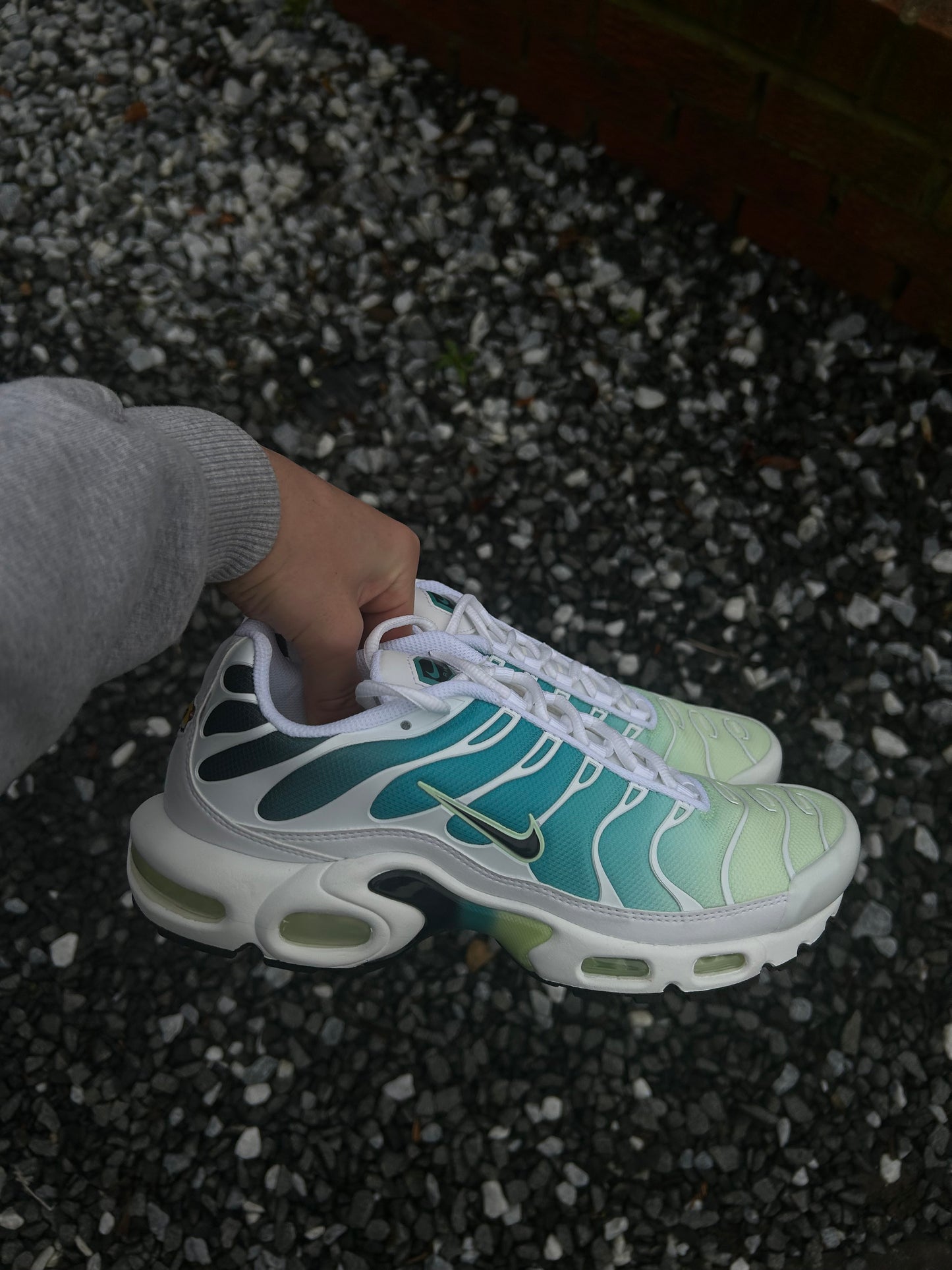 Nike air max plus Tn “Dusty cactus”