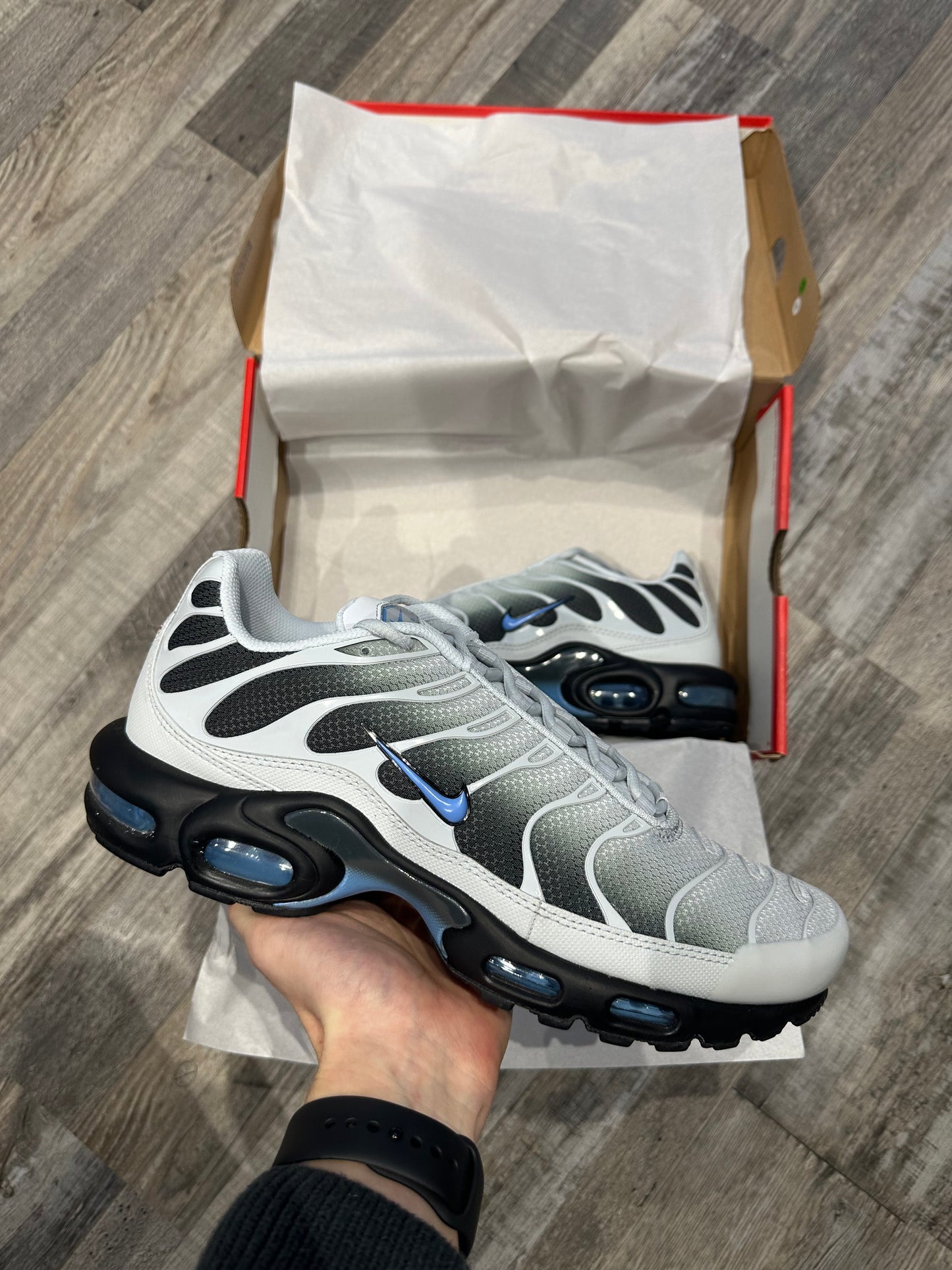 Nike Air Max Plus TN “Wolf Grey University blue”