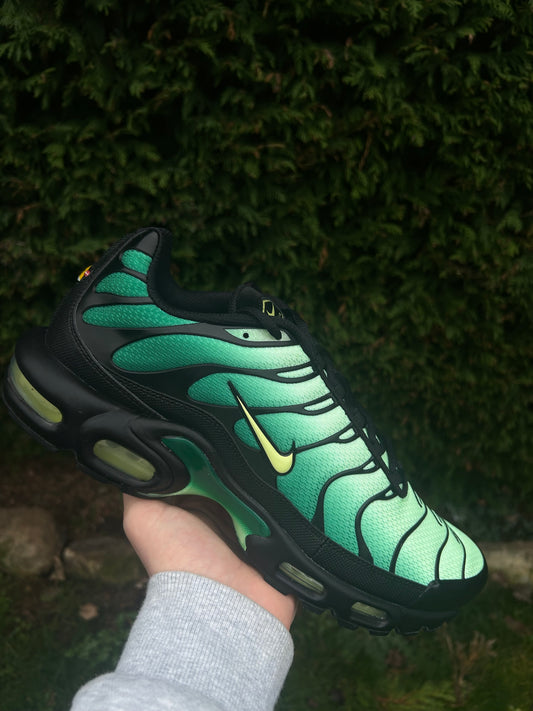Nike air max plus Tn “Green goblins”