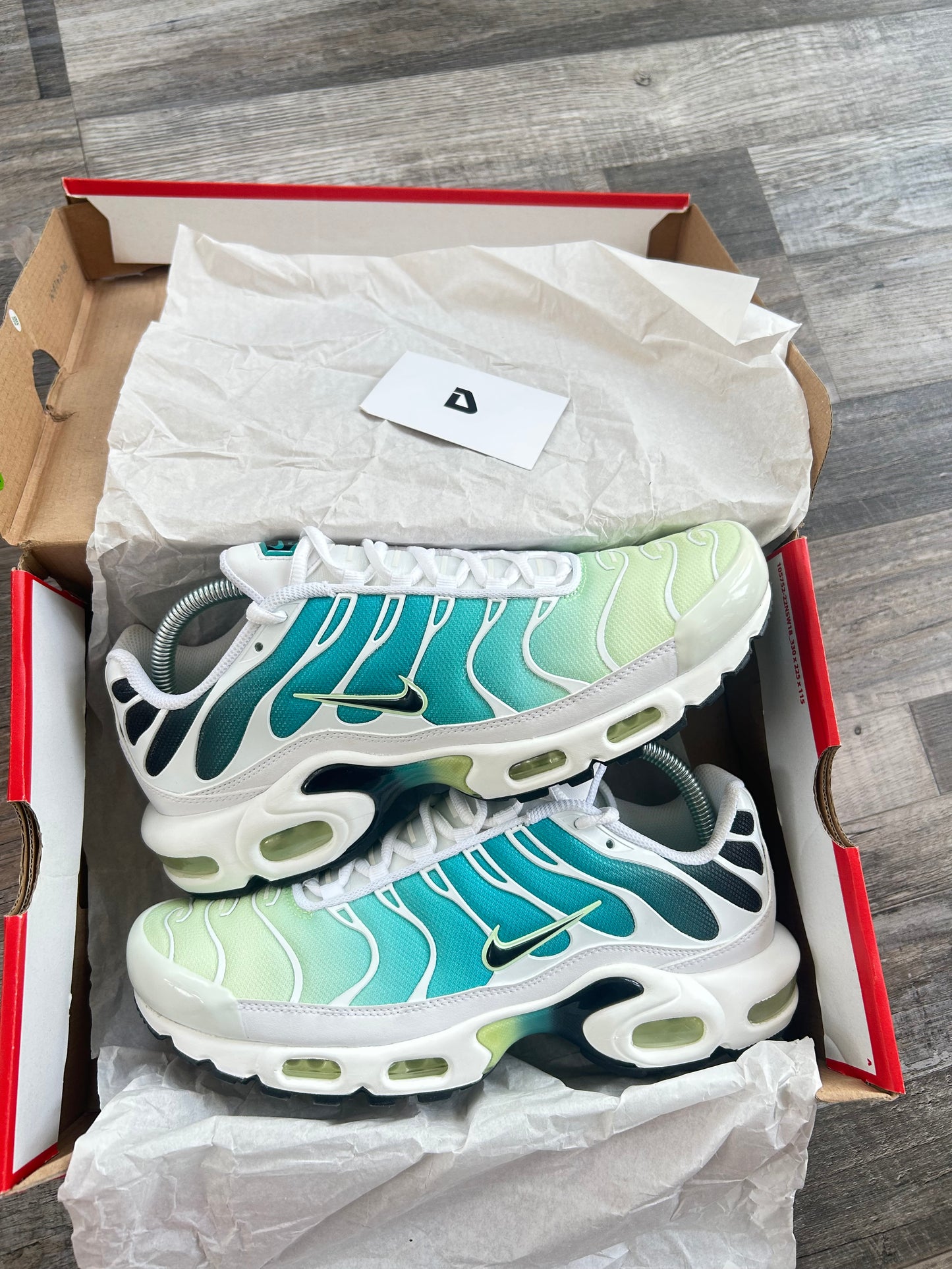 Nike Air max plus TN “Dusty cactus/barely Volt”