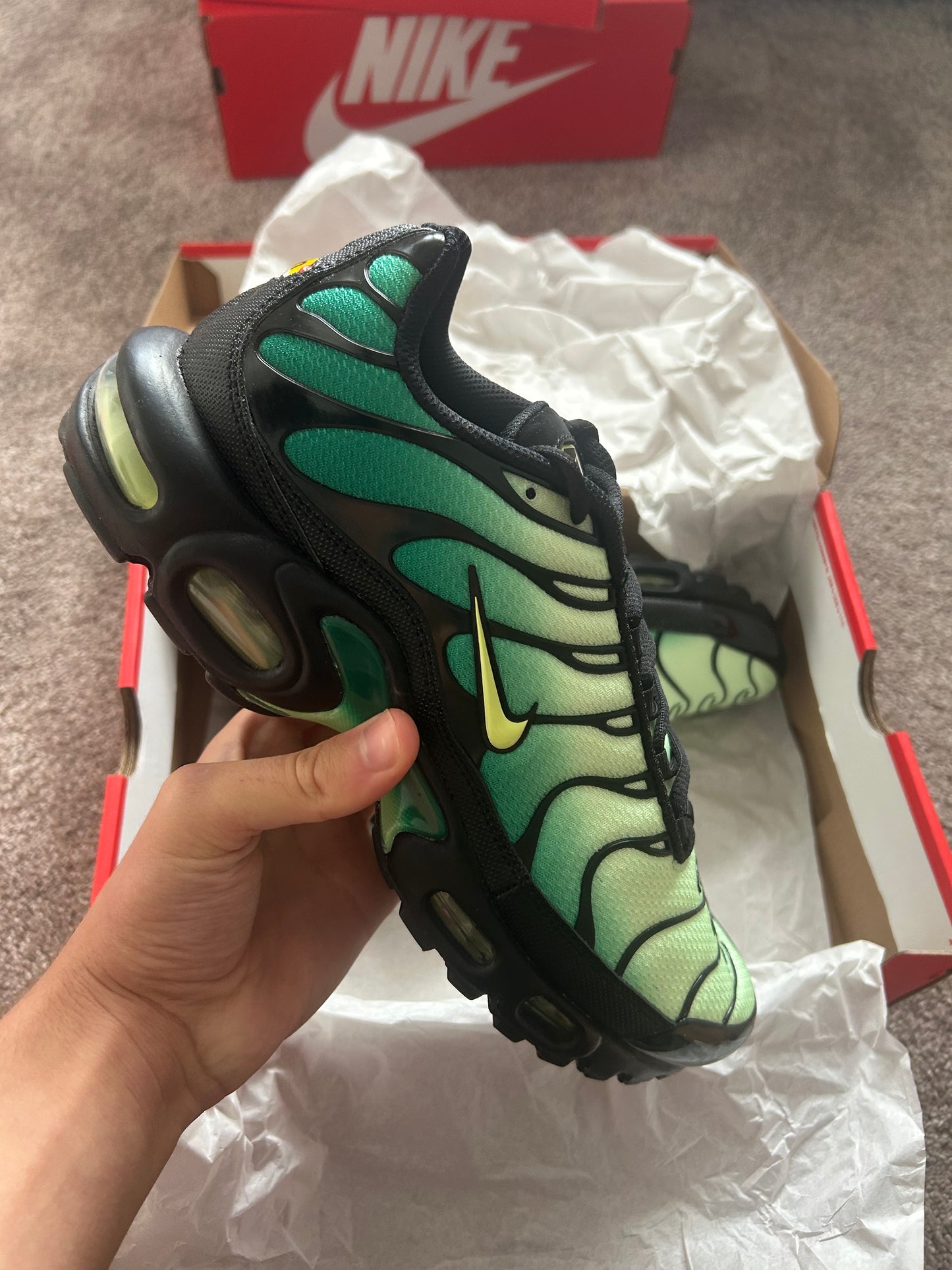 Nike air max plus Tn “Green goblins”