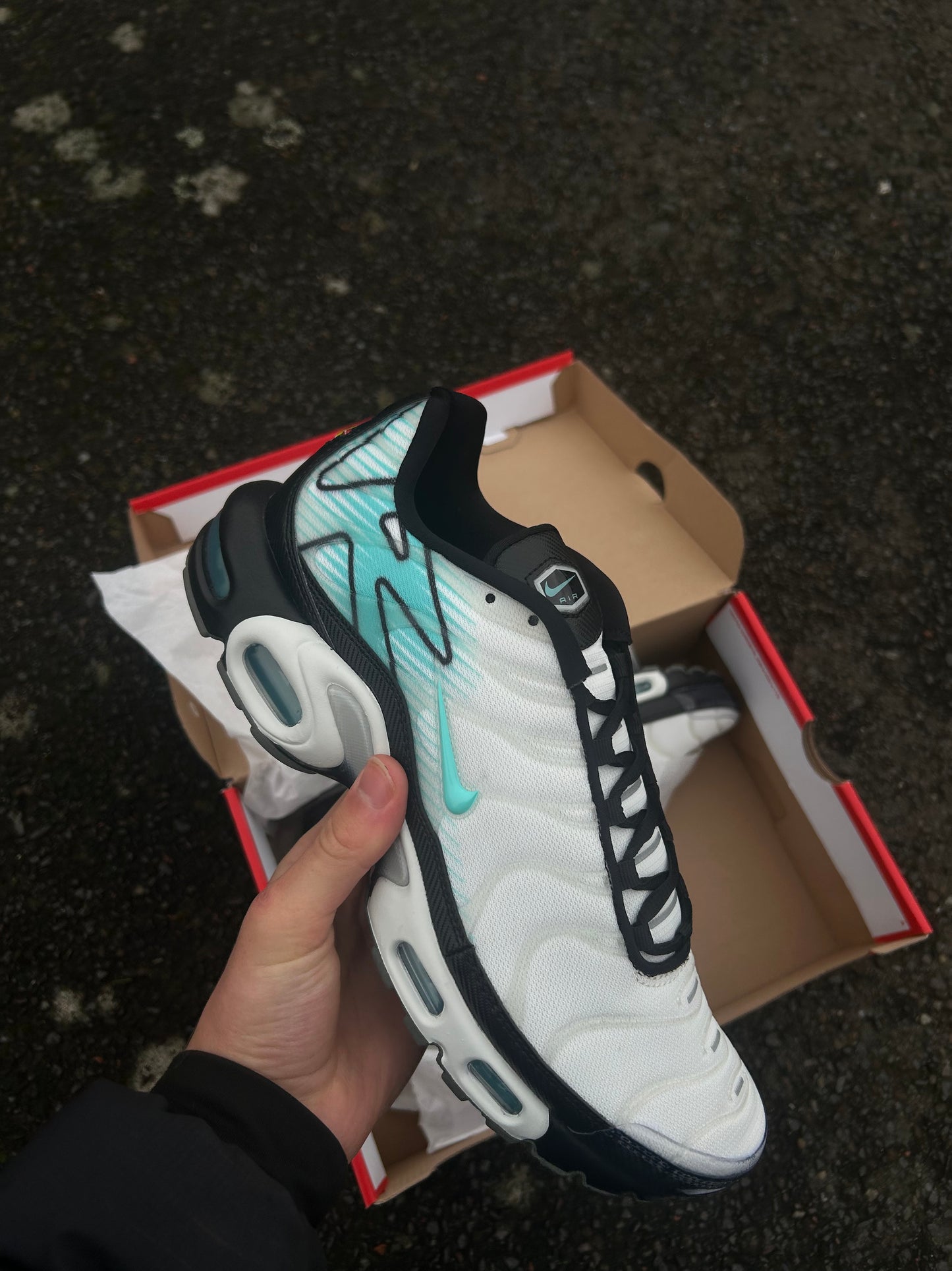 Nike air max plus Tn “Mint/Aurora green”