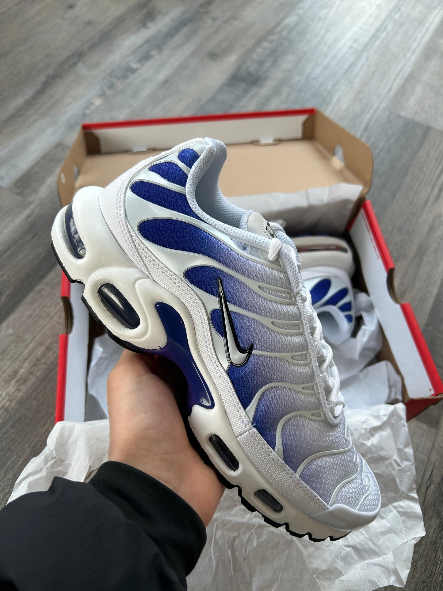 Nike air max plus Tn “Grapes”