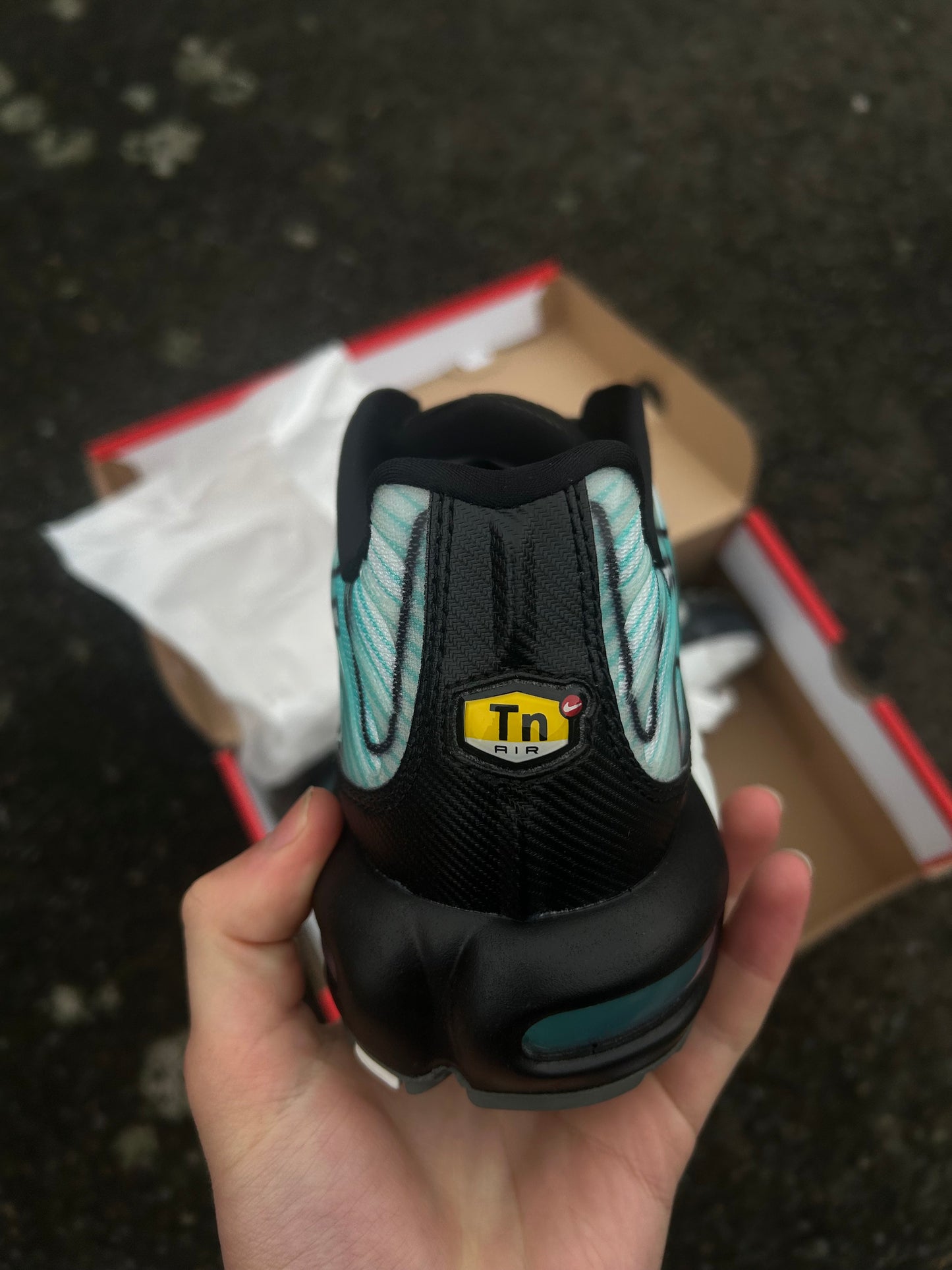 Nike air max plus Tn “Mint/Aurora green”