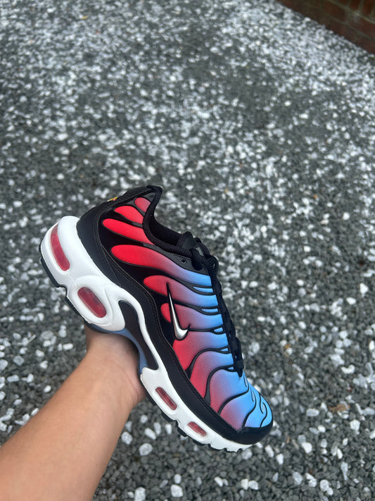 Nike air max plus Tn “slush puppies”