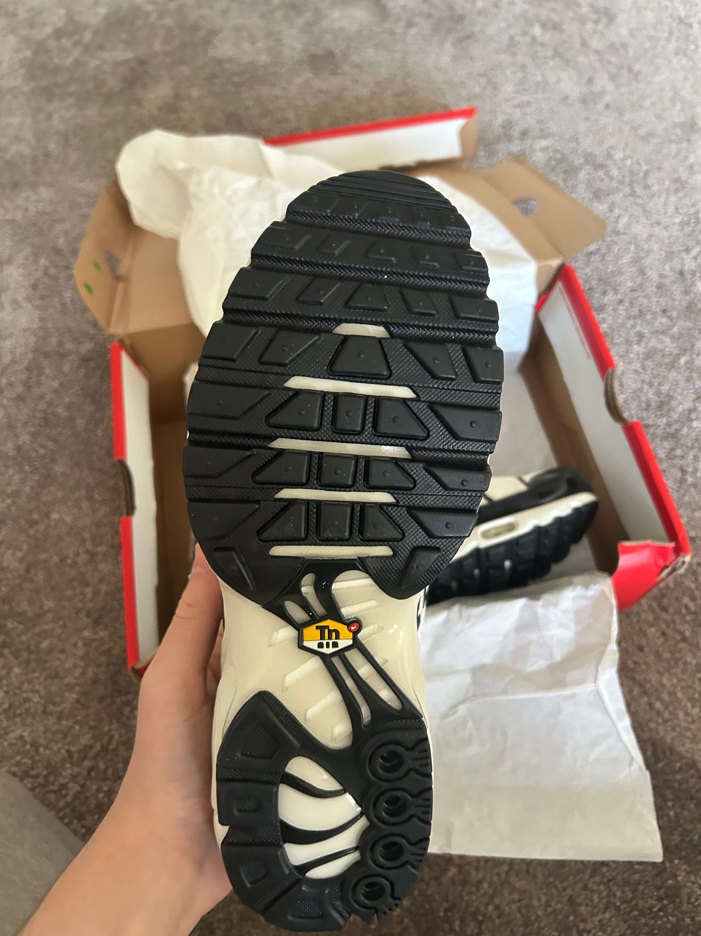 Nike air max plus Tn “Pandas”
