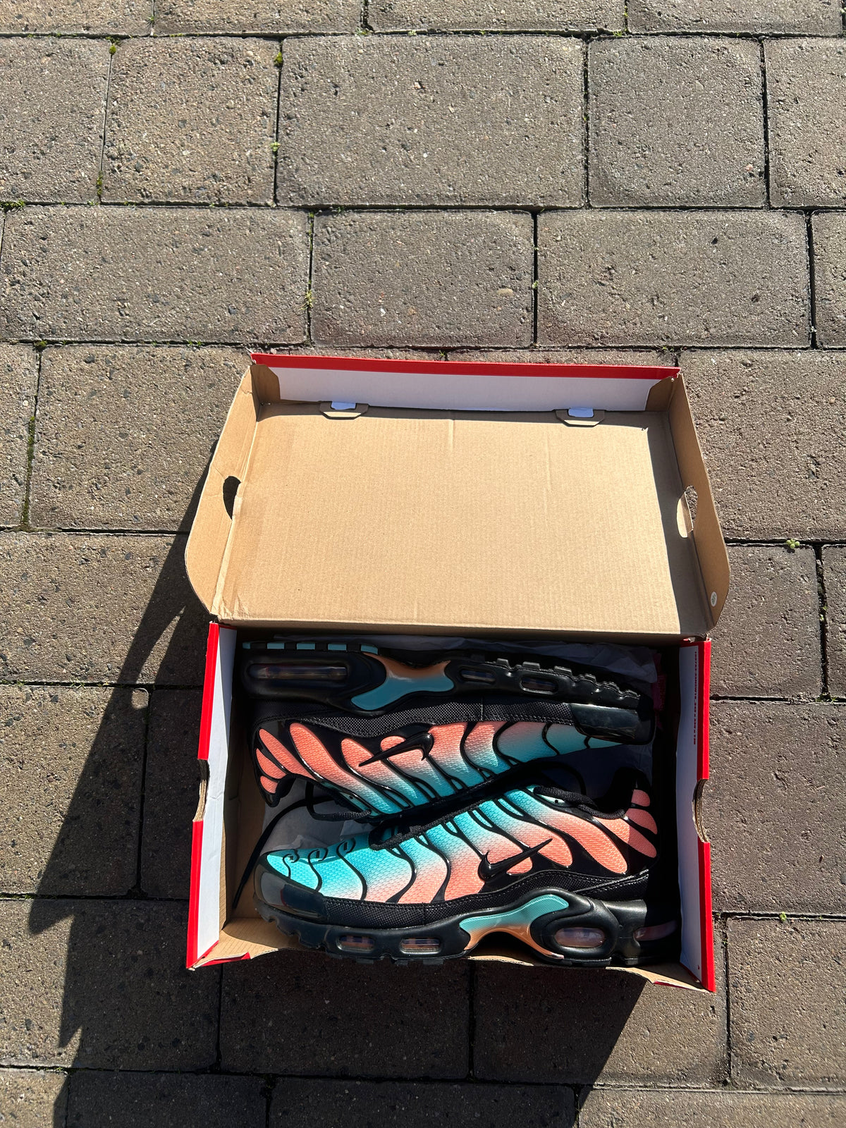 Nike Air Max Plus TN “South Beach”