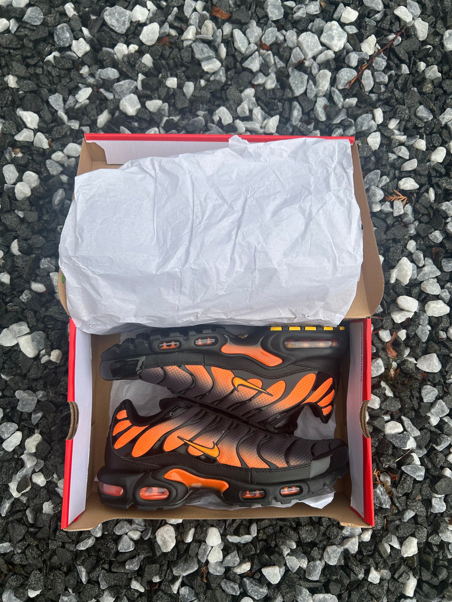 Nike air max plus Tn “Total Orange/black”