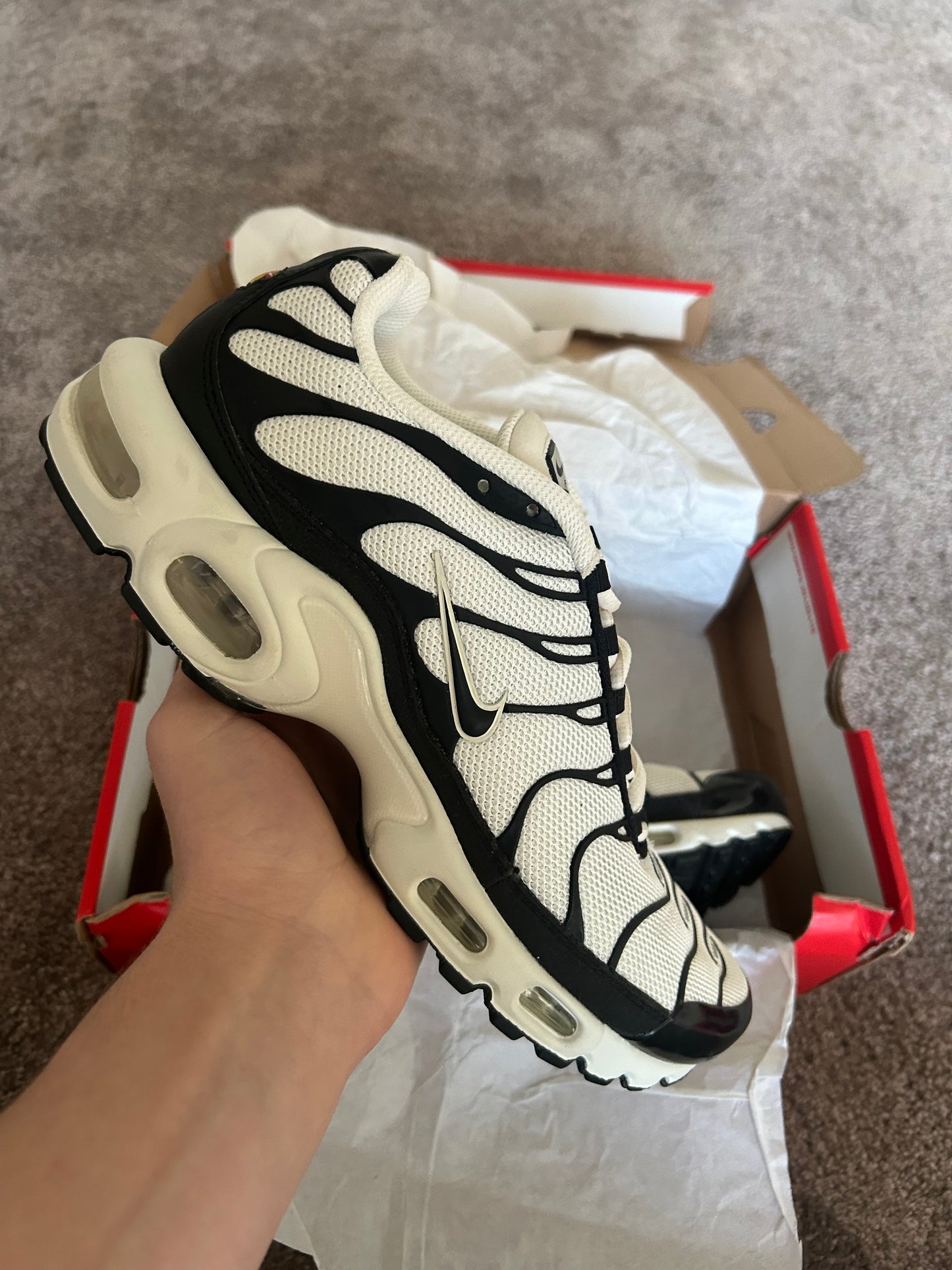 Nike air max plus Tn “Pandas”