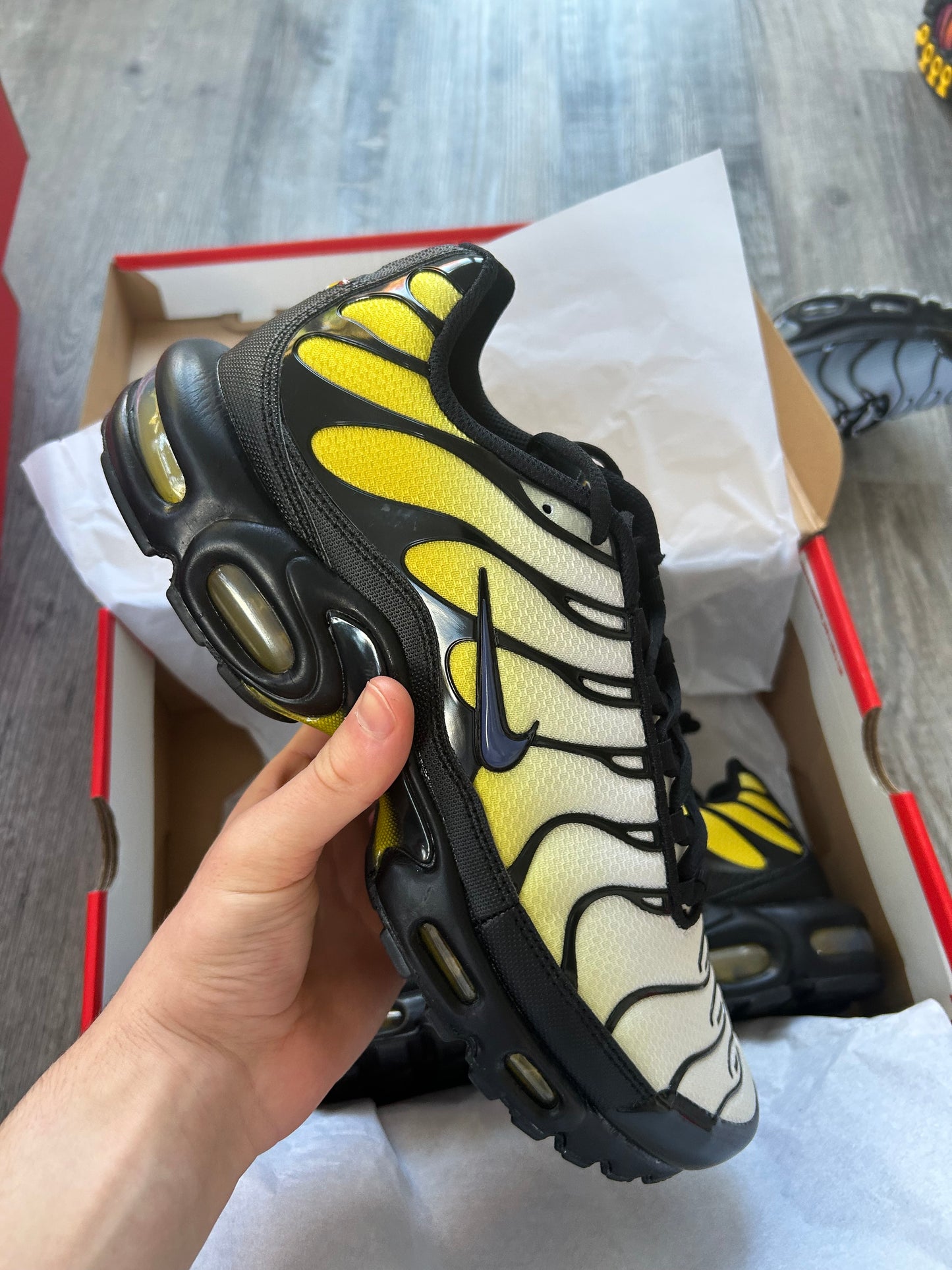 Nike air max plus “black/sanded purple”