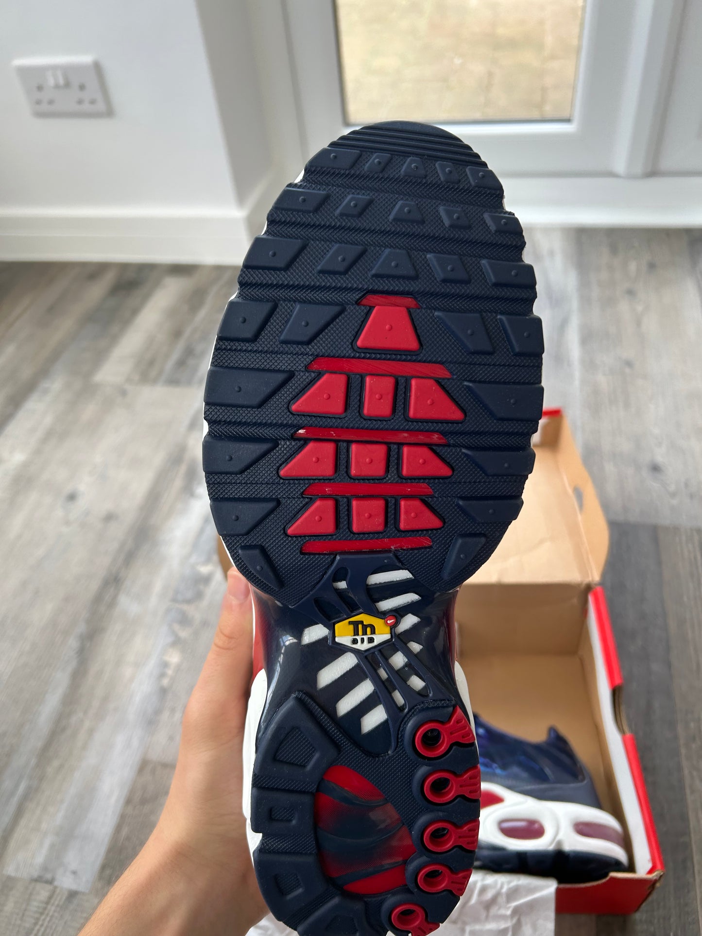 Air max plus TN “Lightning blue”