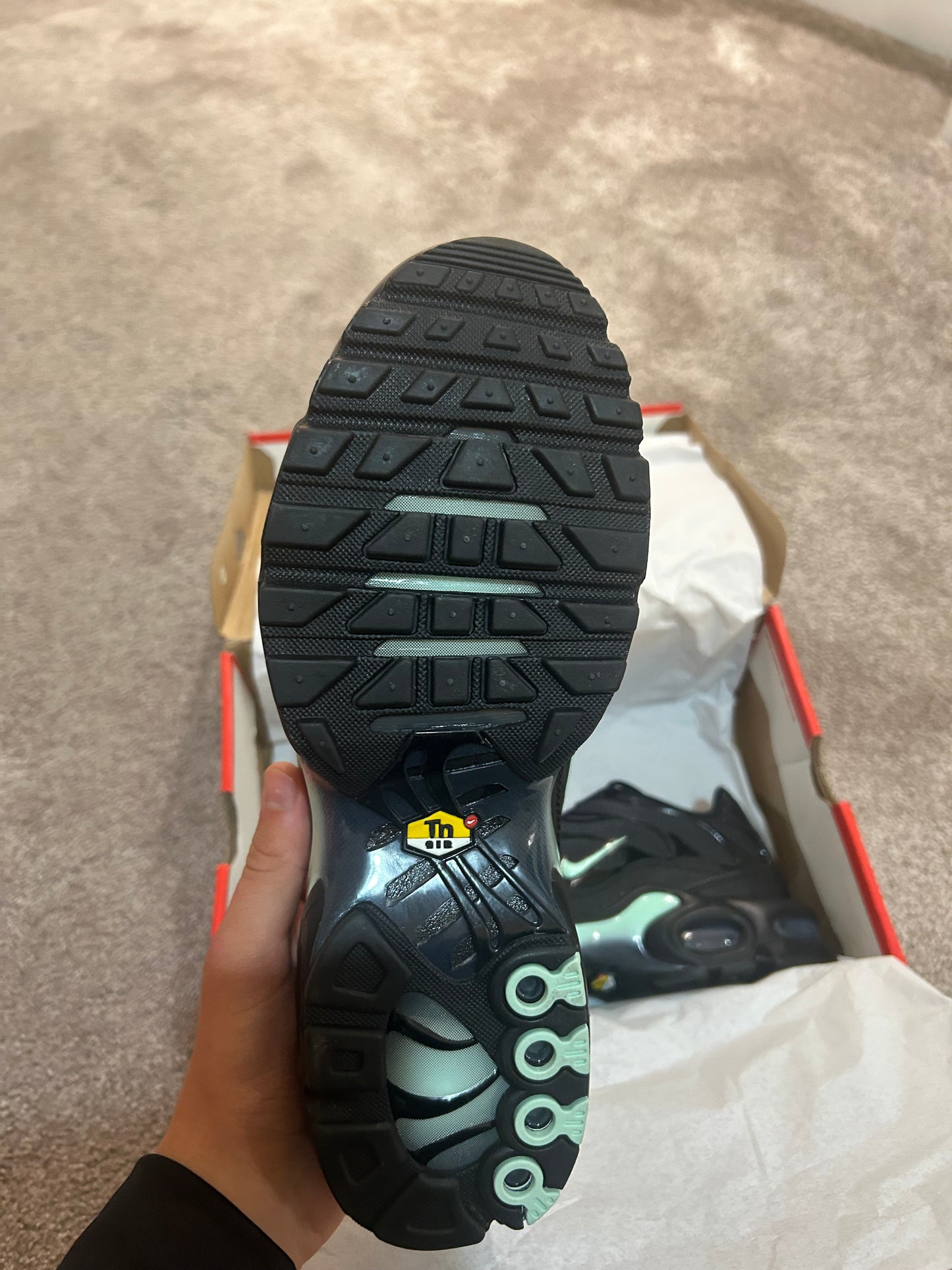 Nike air max plus Tn “Reverse Tiffany’s”