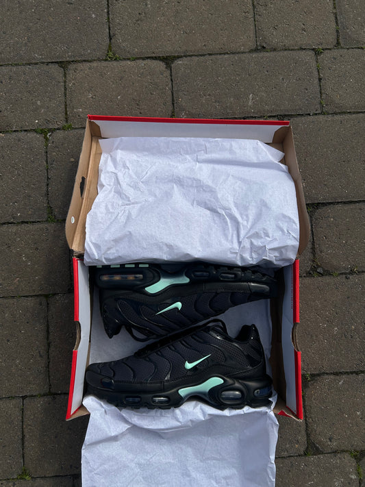 Nike air max plus Tn “Reverse Tiffany’s”