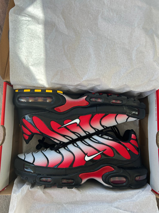 Nike air max plus TN platinum red/white