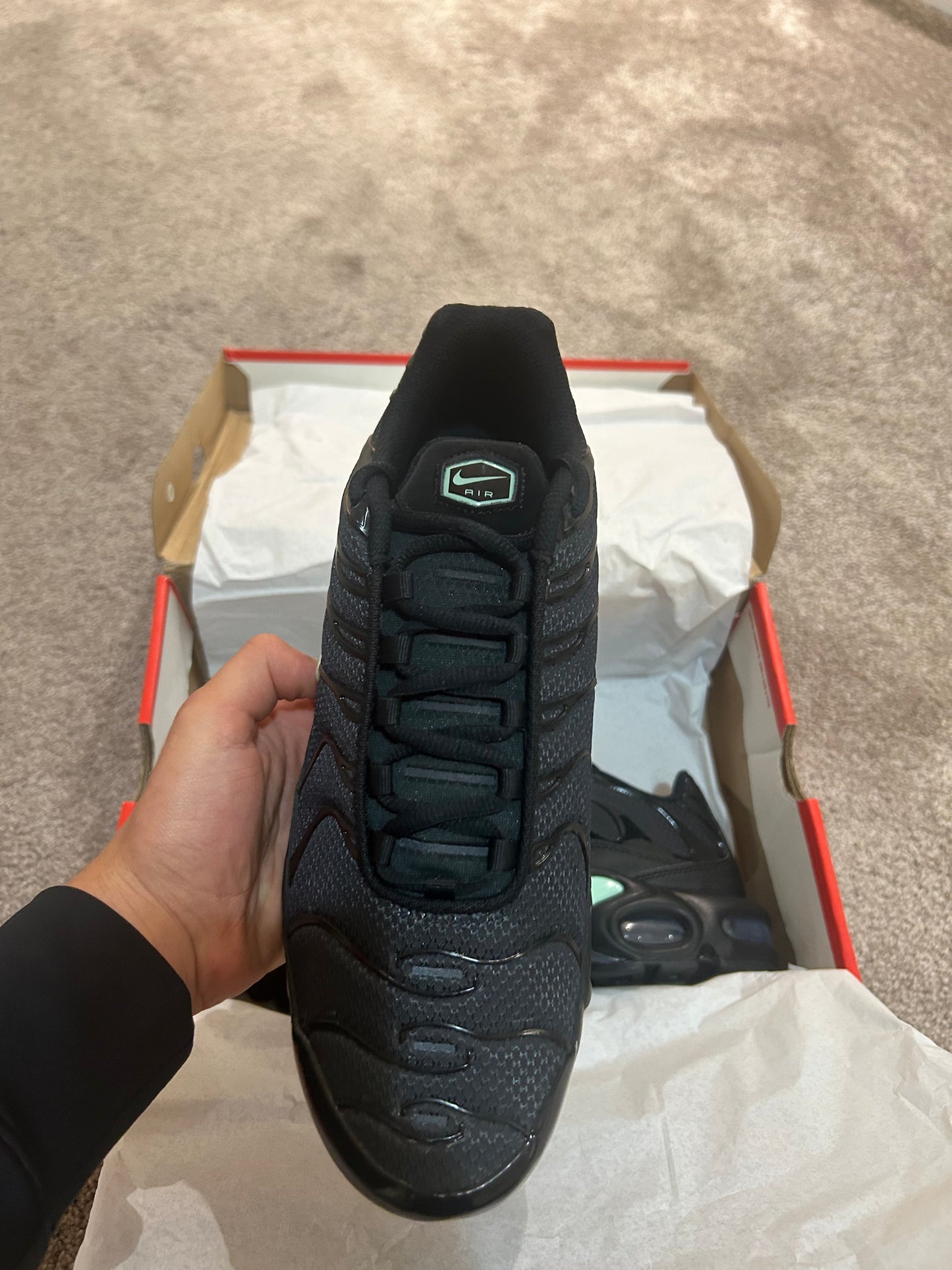 Nike air max plus Tn “Reverse Tiffany’s”