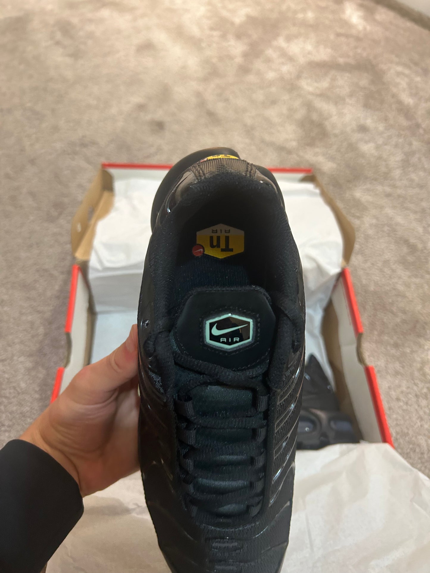 Nike air max plus Tn “Reverse Tiffany’s”