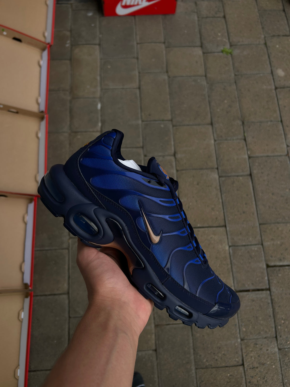 Nike Air Max Plus Tn “France FC”