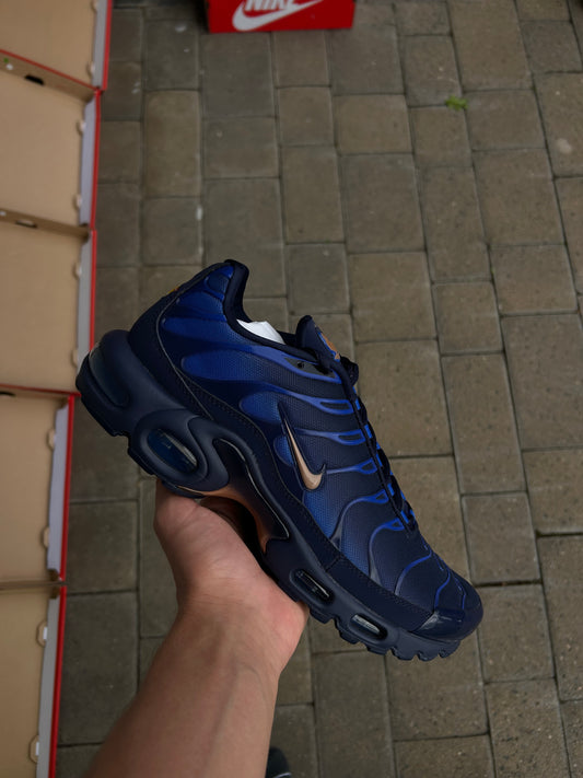 Nike Air Max Plus Tn “France FC”