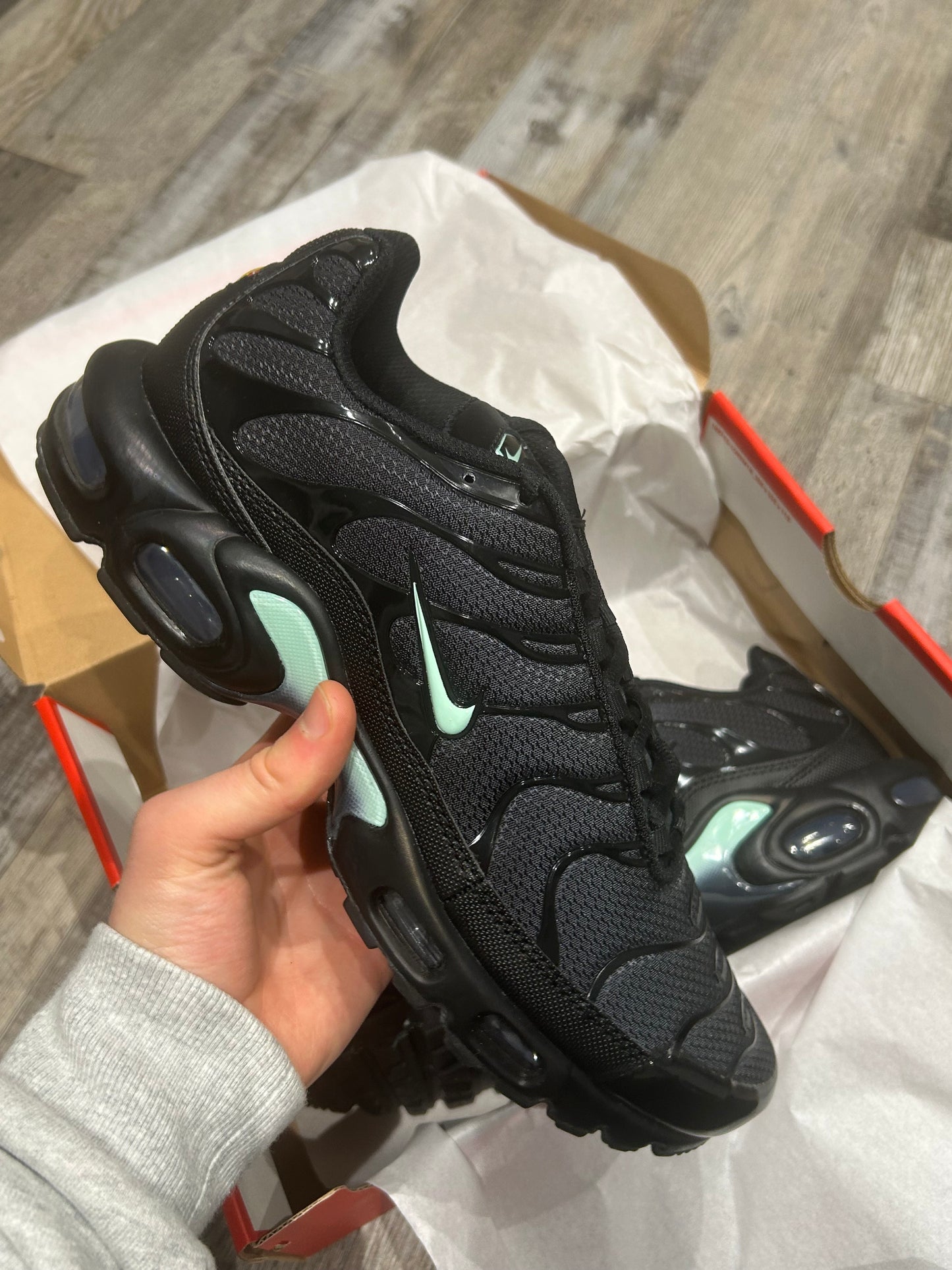 Nike air max plus Tn “Mint/tiffany”